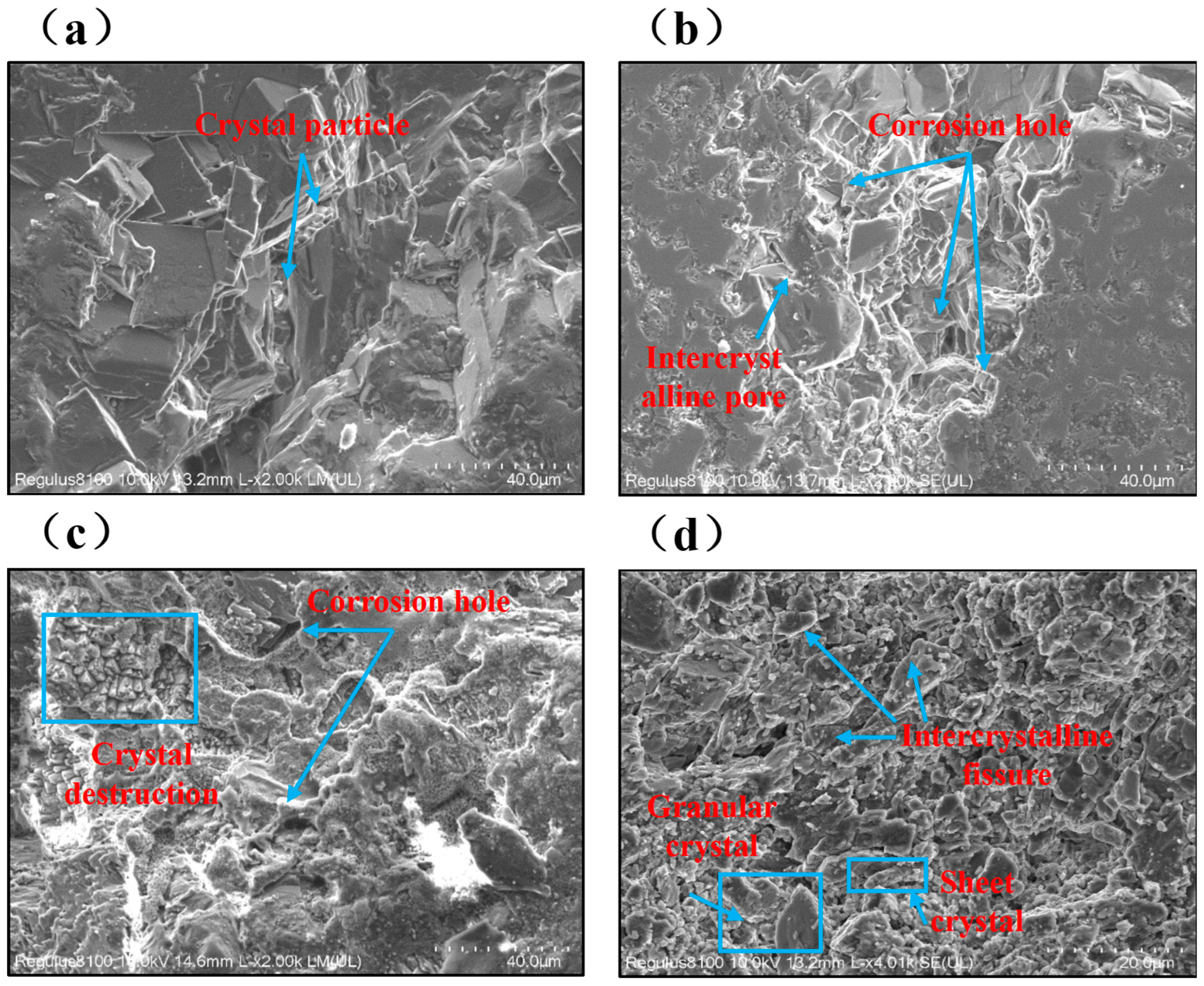 Processes 13 01410 g003