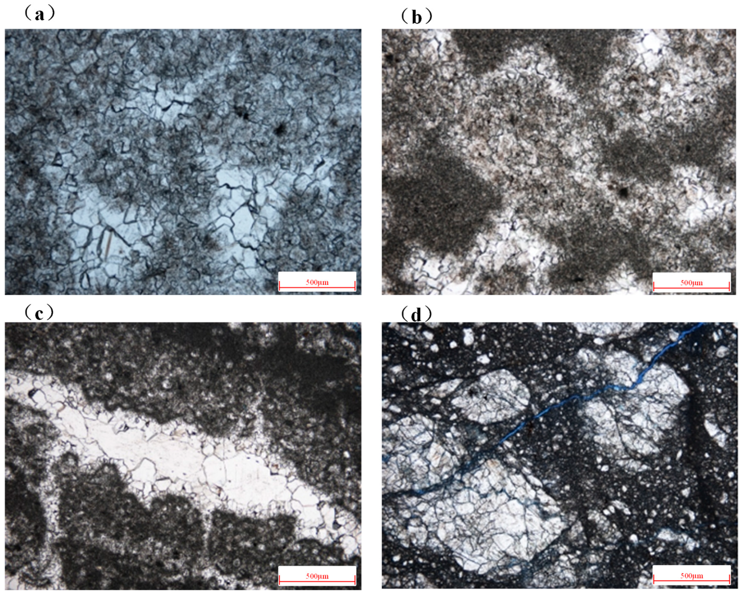 Processes 13 01410 g004