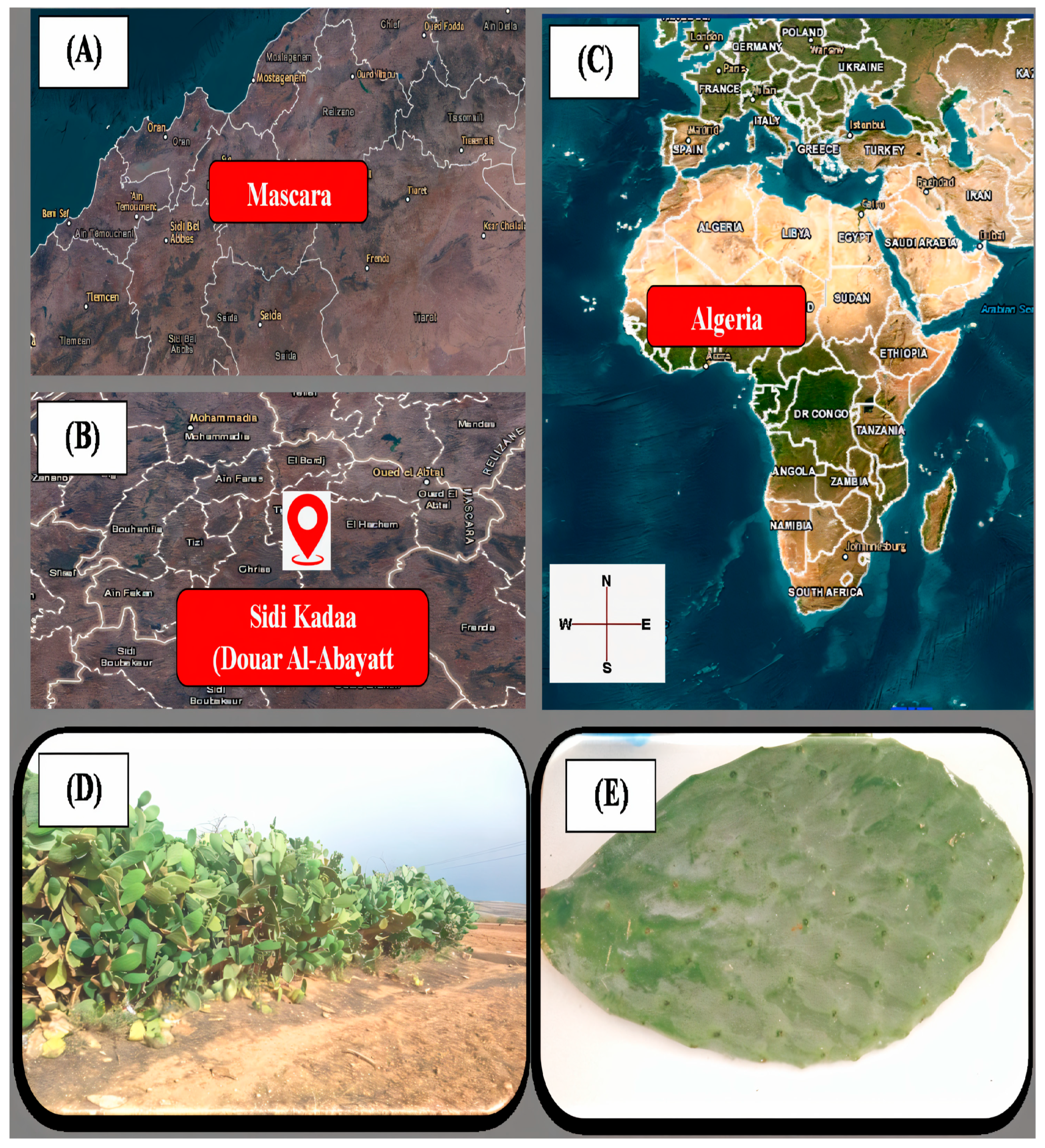 Processes 13 01412 g001