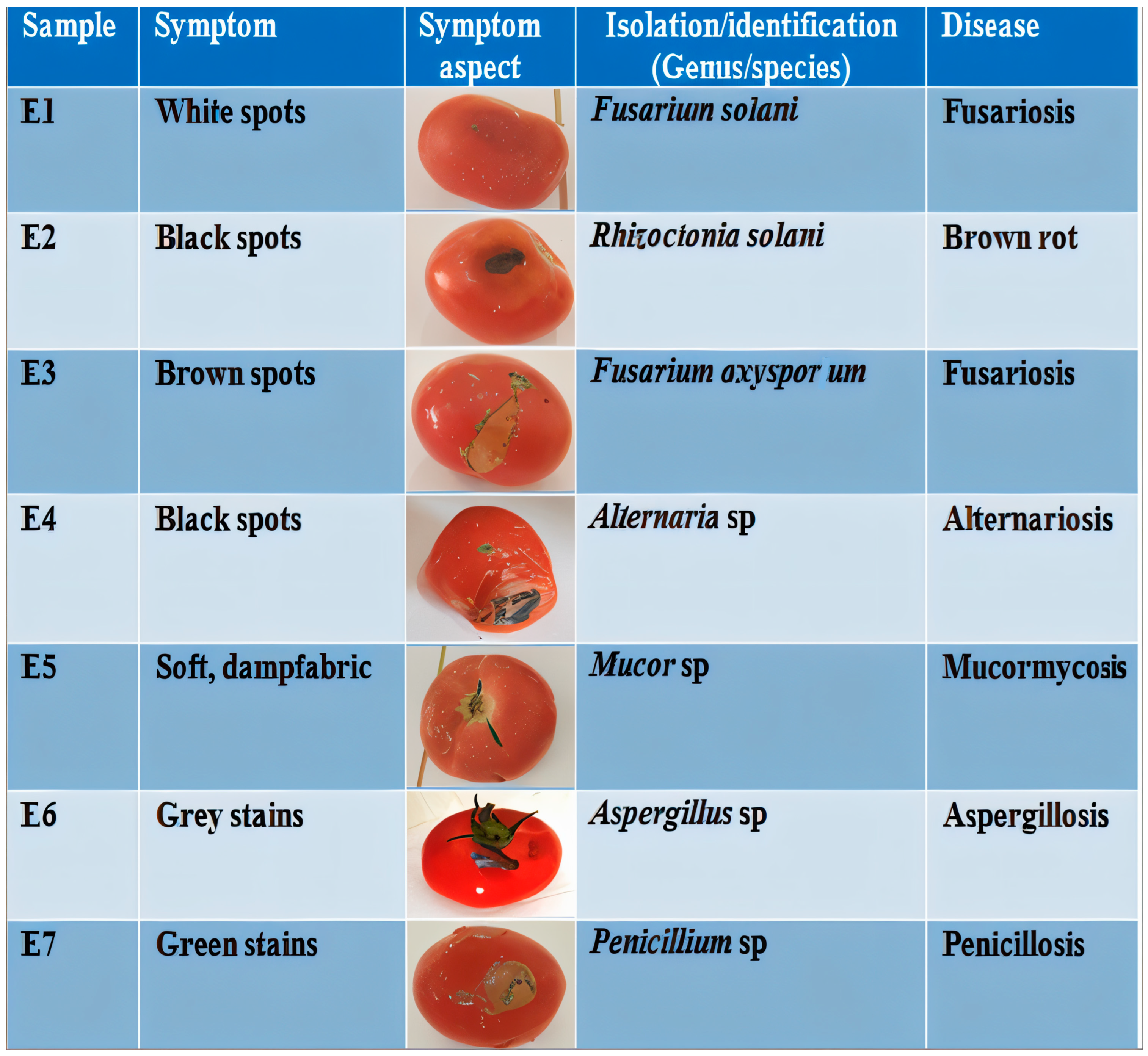 Processes 13 01412 g002