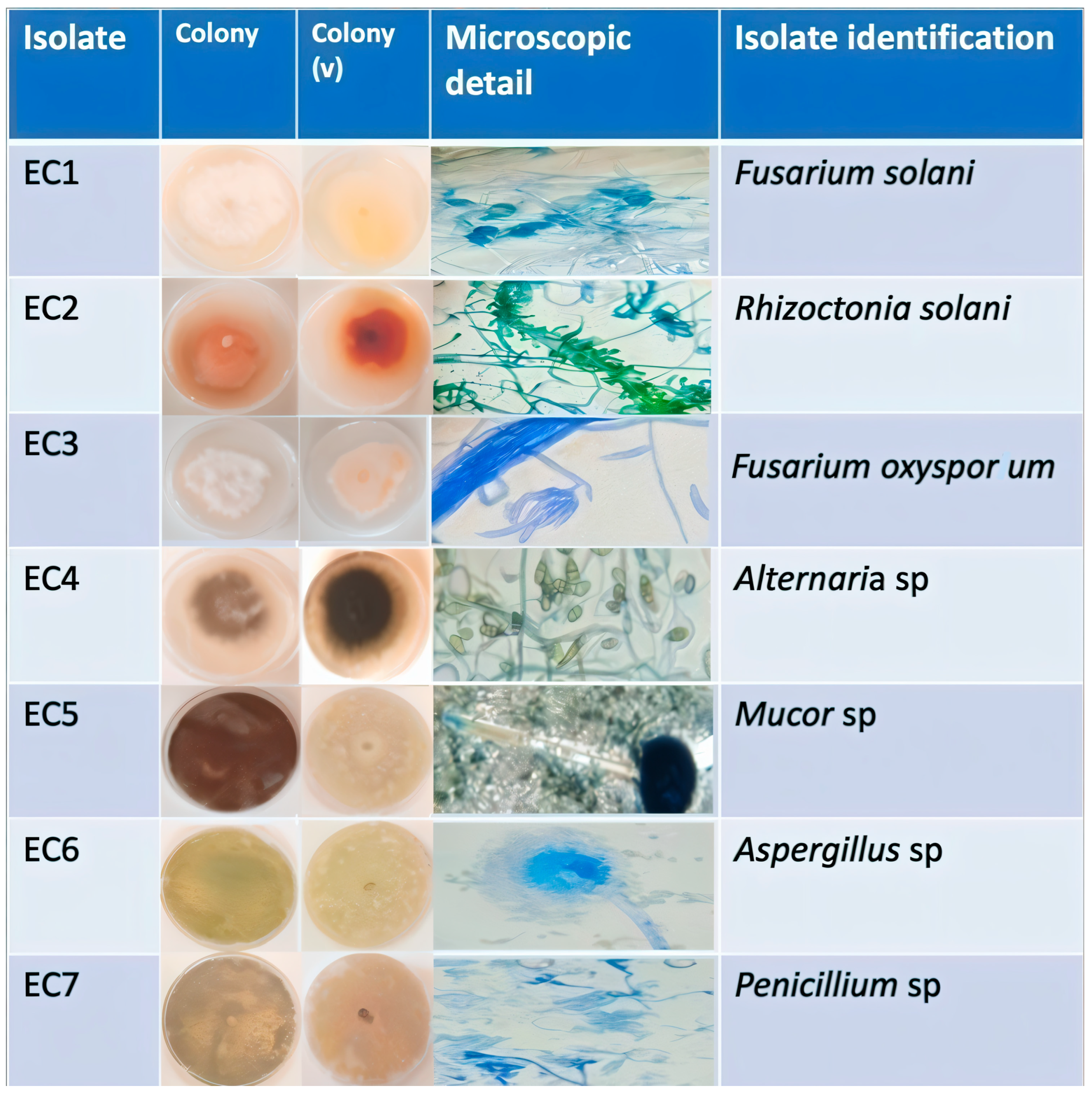Processes 13 01412 g003