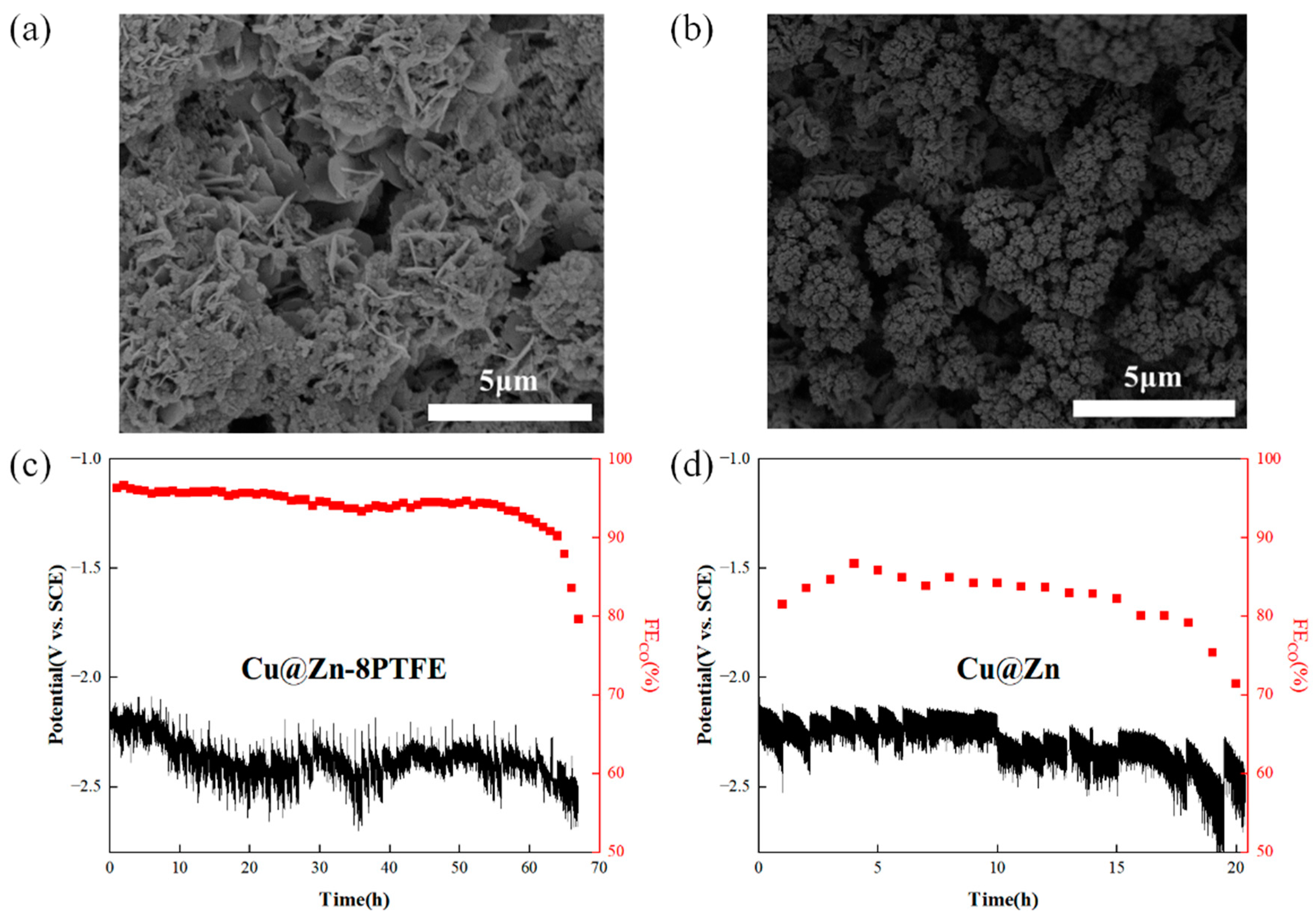 Processes 13 01454 g011