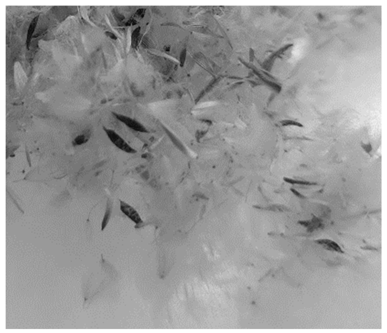 Processes 13 01468 g027