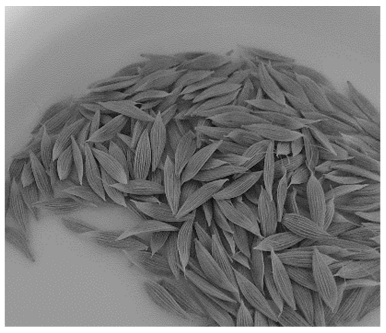 Processes 13 01468 g028