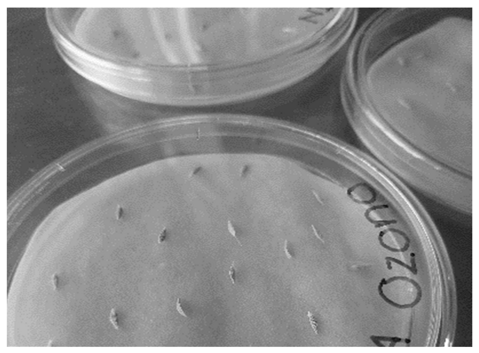 Processes 13 01468 g029