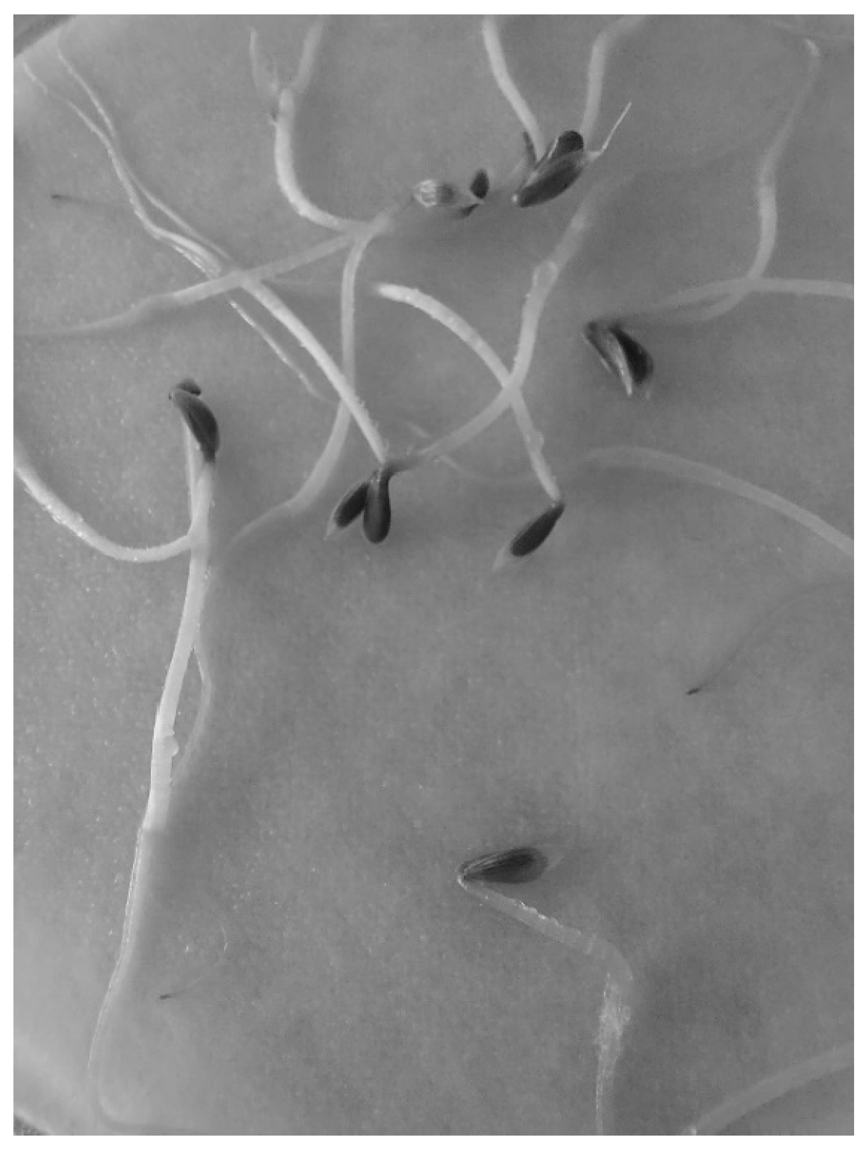 Processes 13 01468 g030