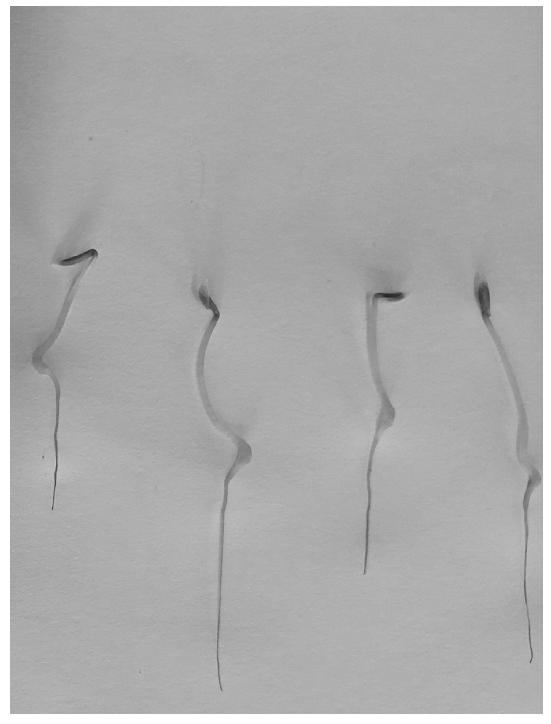 Processes 13 01468 g031