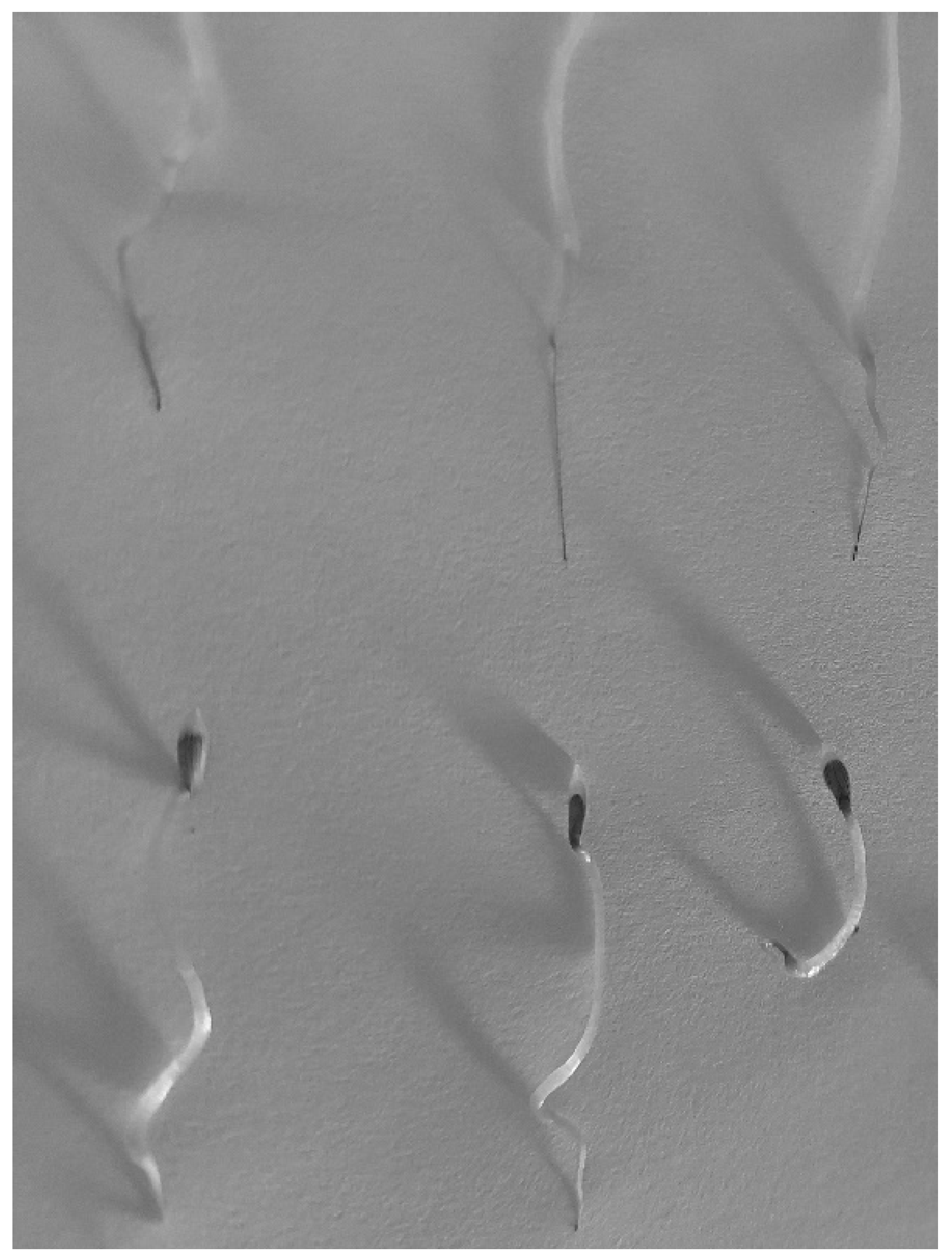 Processes 13 01468 g032