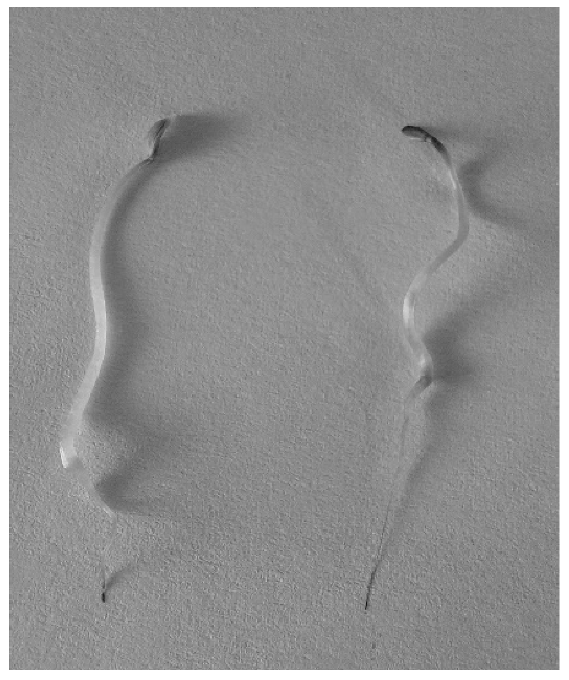 Processes 13 01468 g033