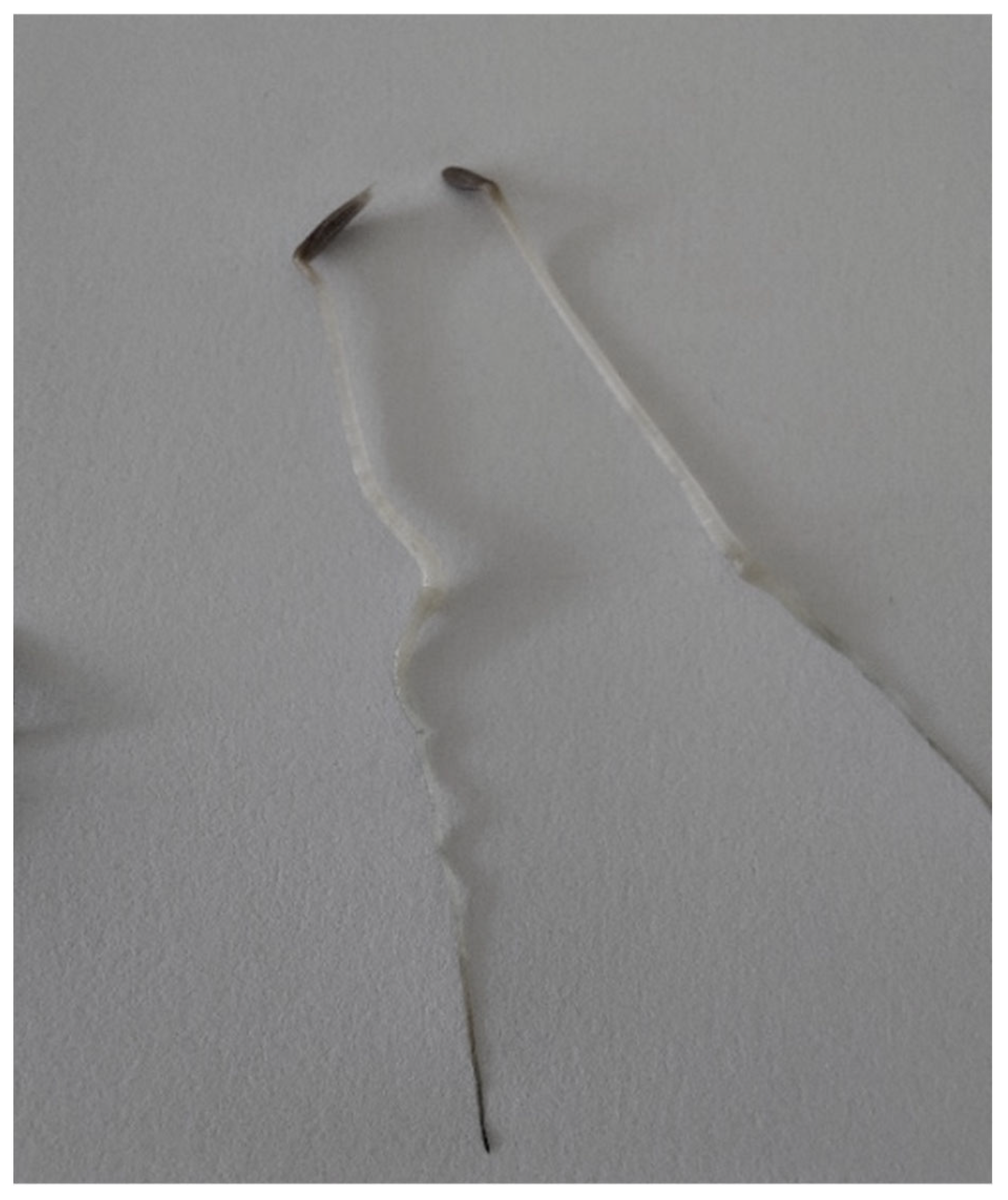 Processes 13 01468 g034