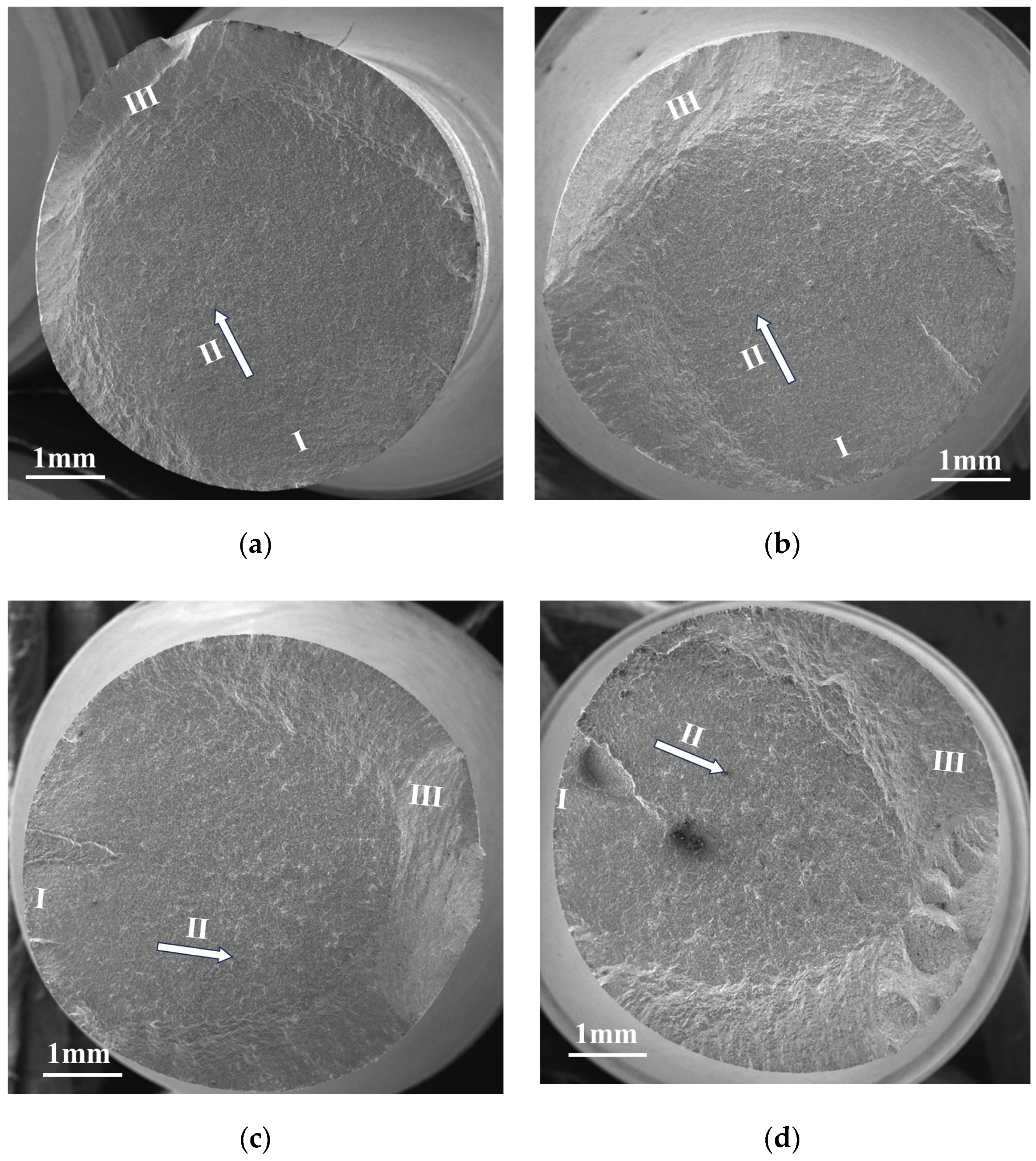 Processes 13 01477 g004