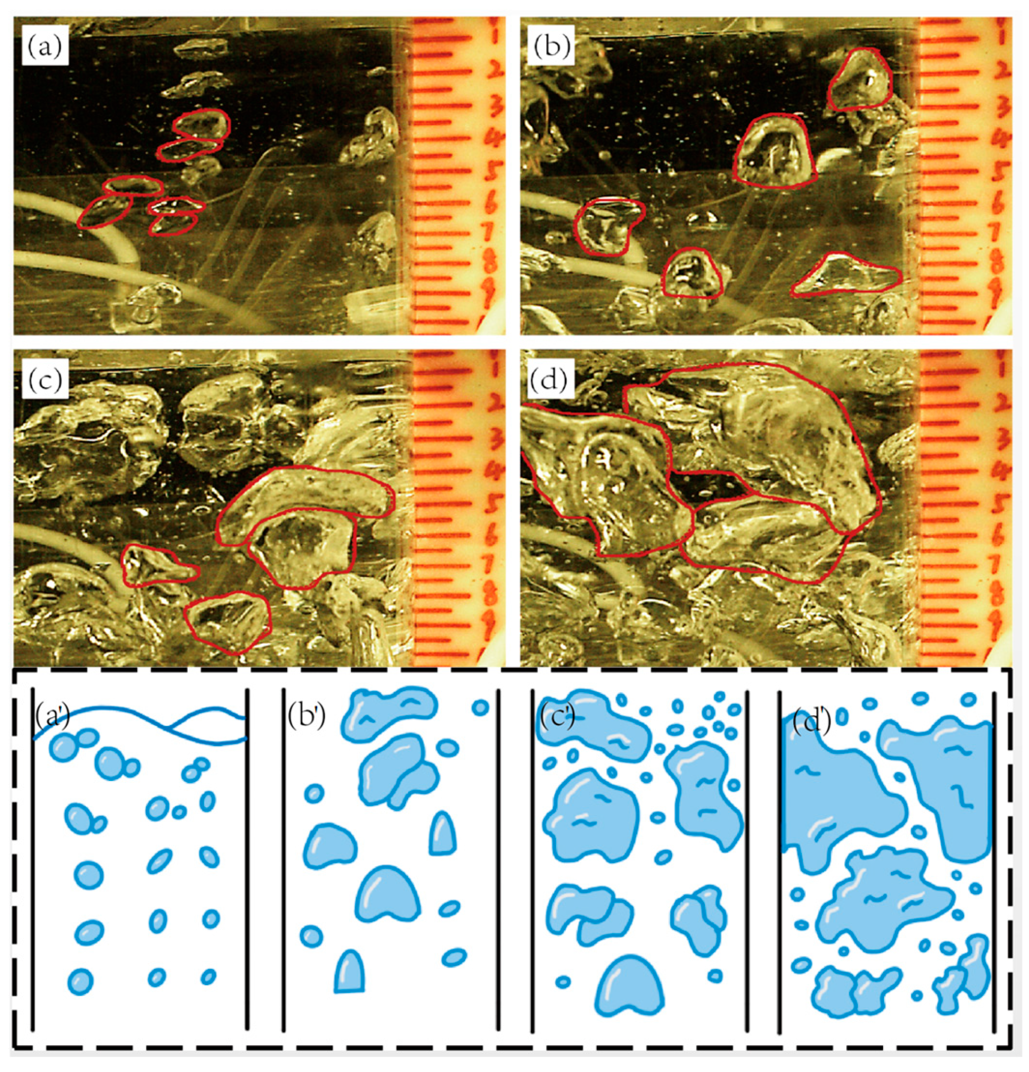 Processes 13 01484 g002