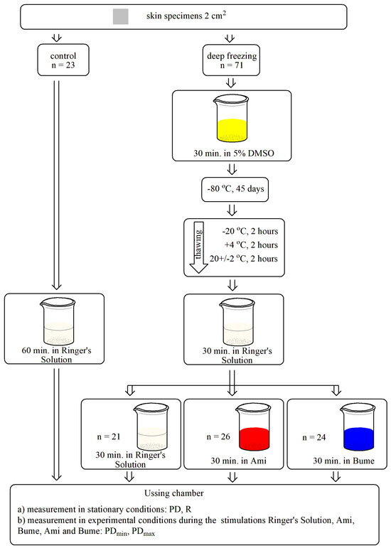 Processes 13 01493 g001