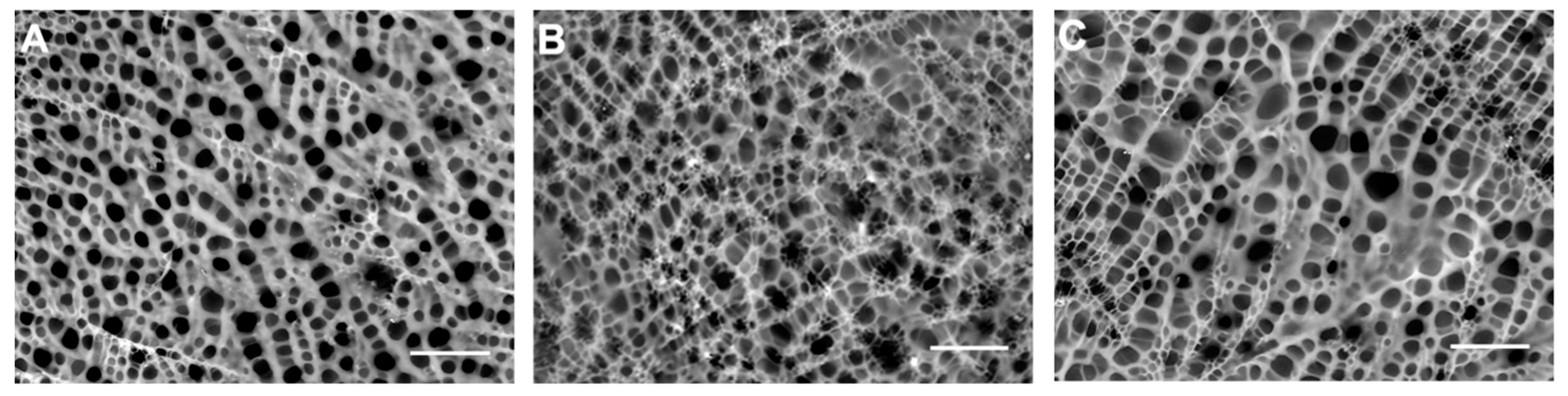 Processes 13 01502 g002