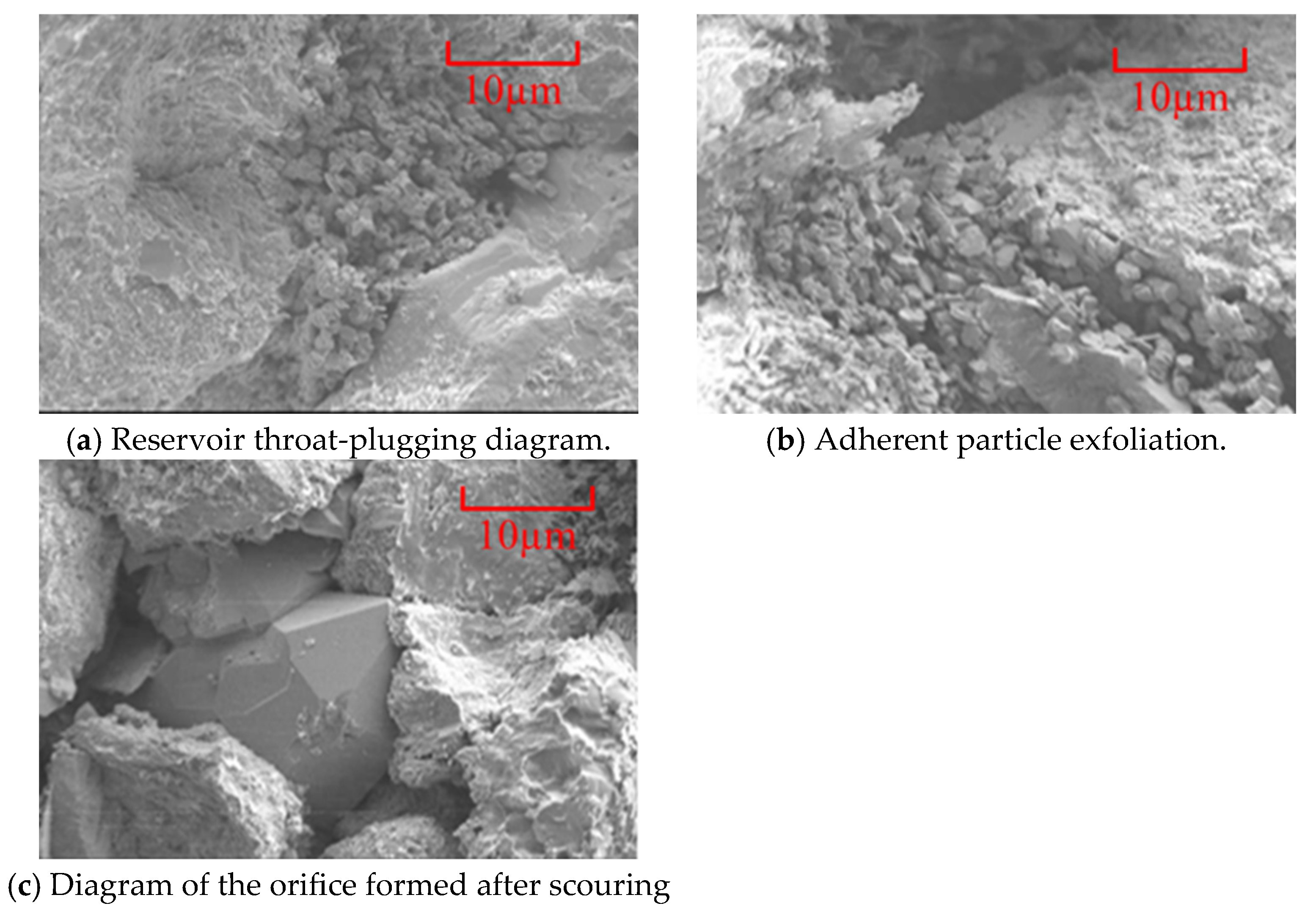 Processes 13 01511 g010