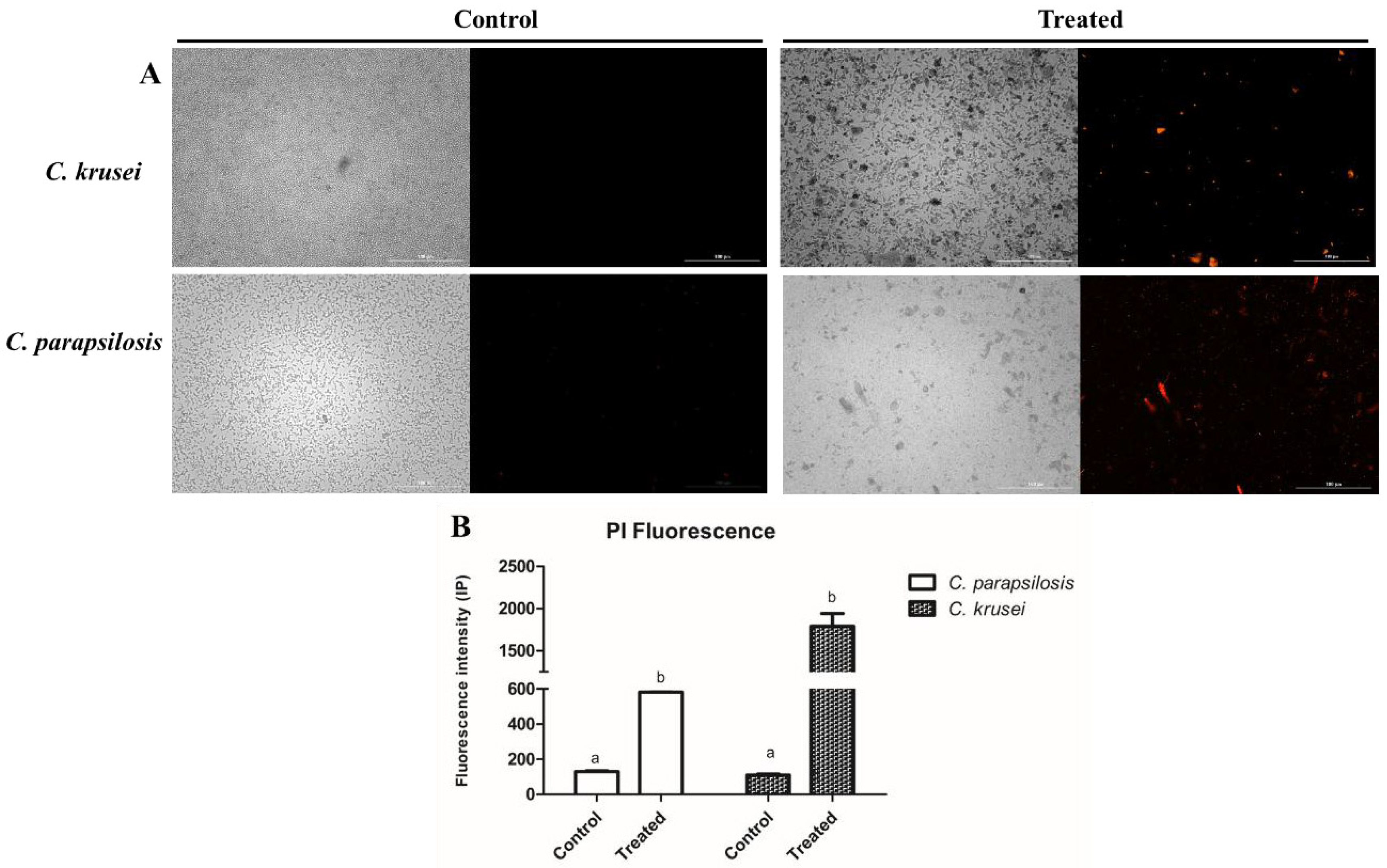 Processes 13 01569 g002