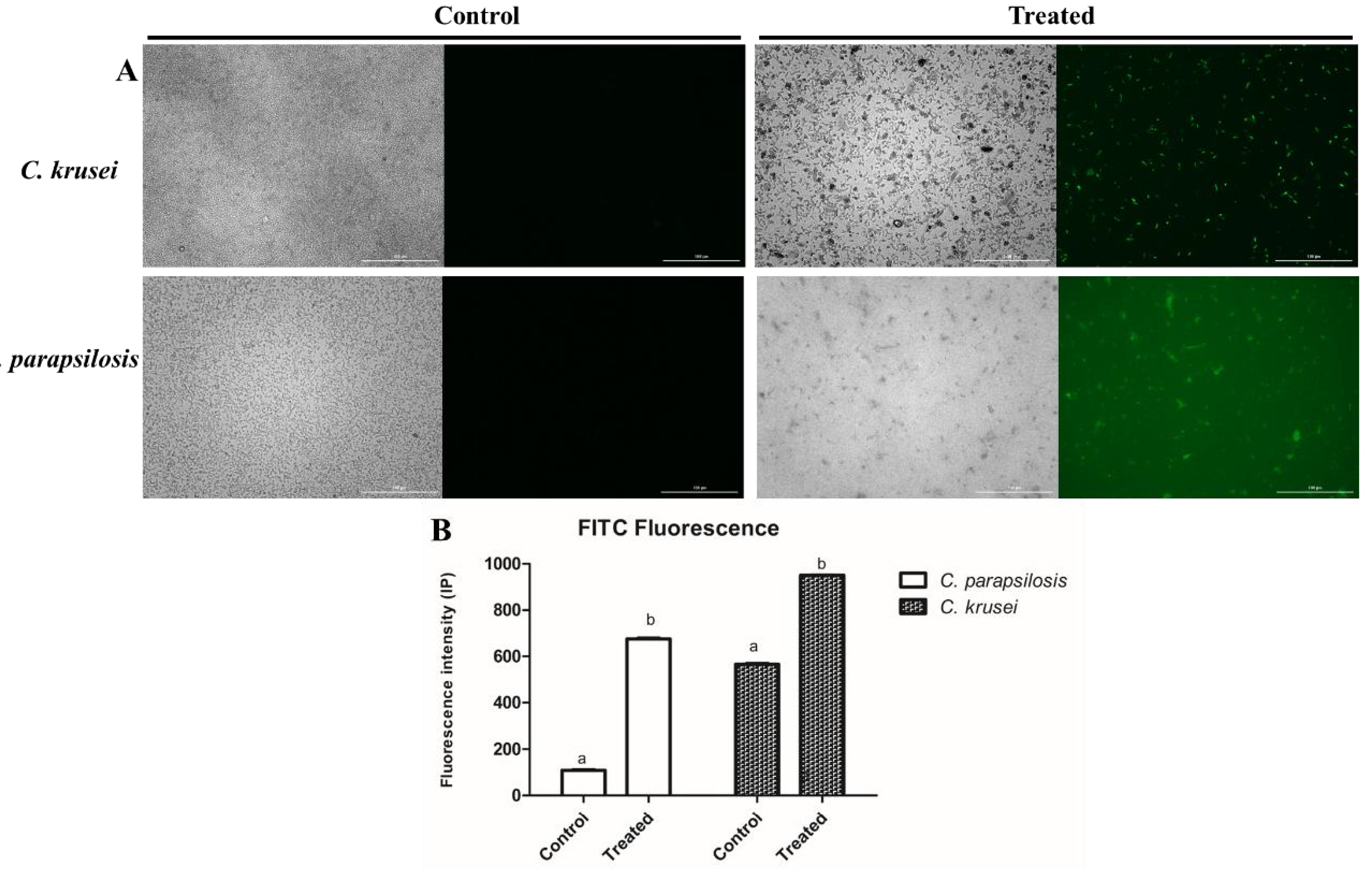 Processes 13 01569 g003