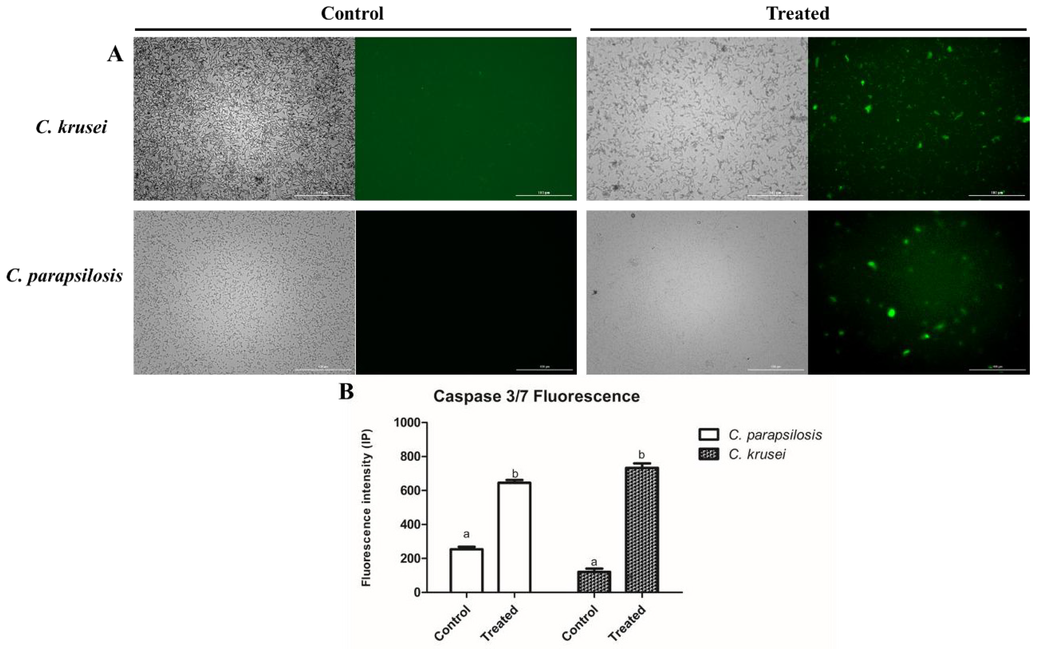 Processes 13 01569 g005