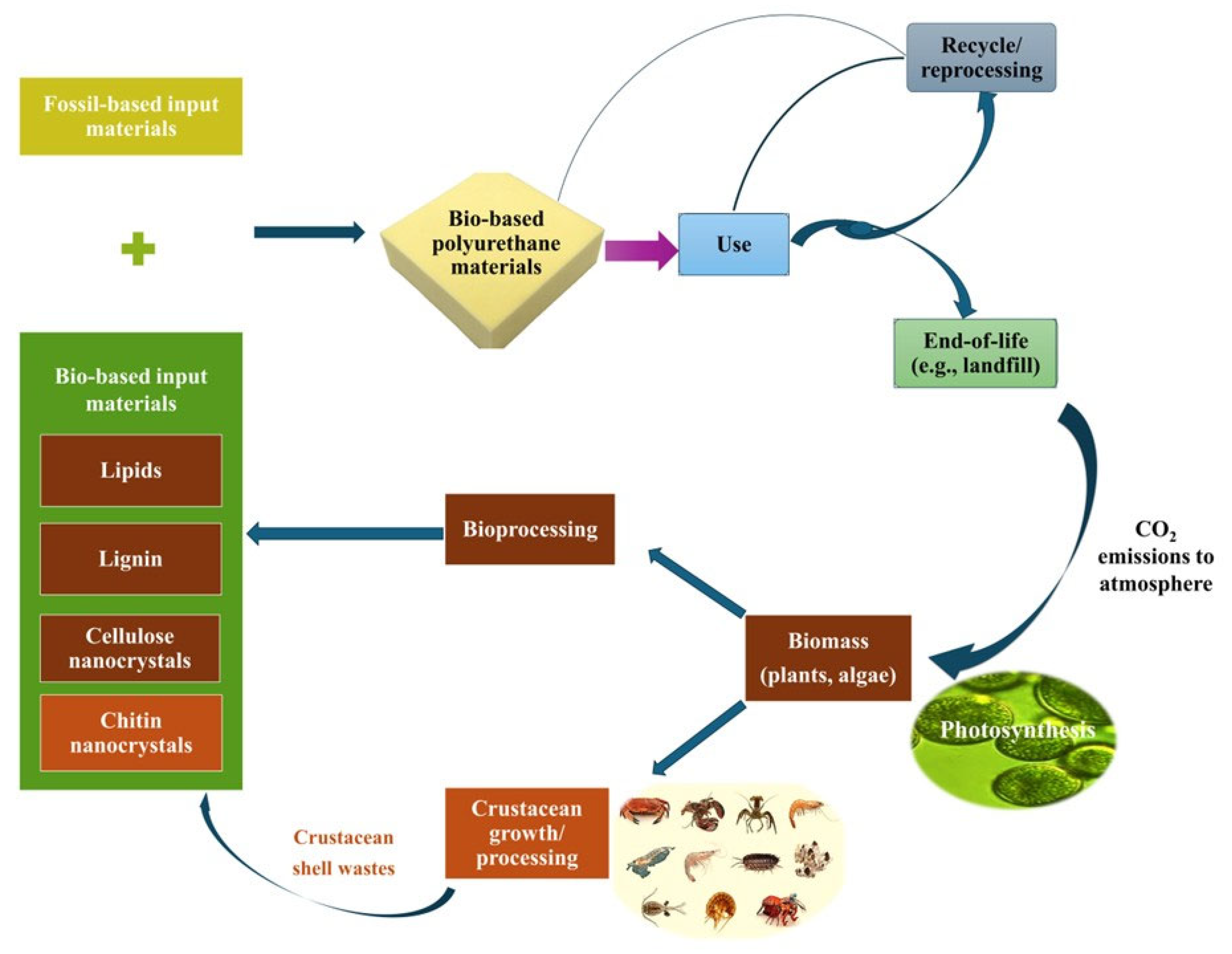 Processes 13 01591 g001