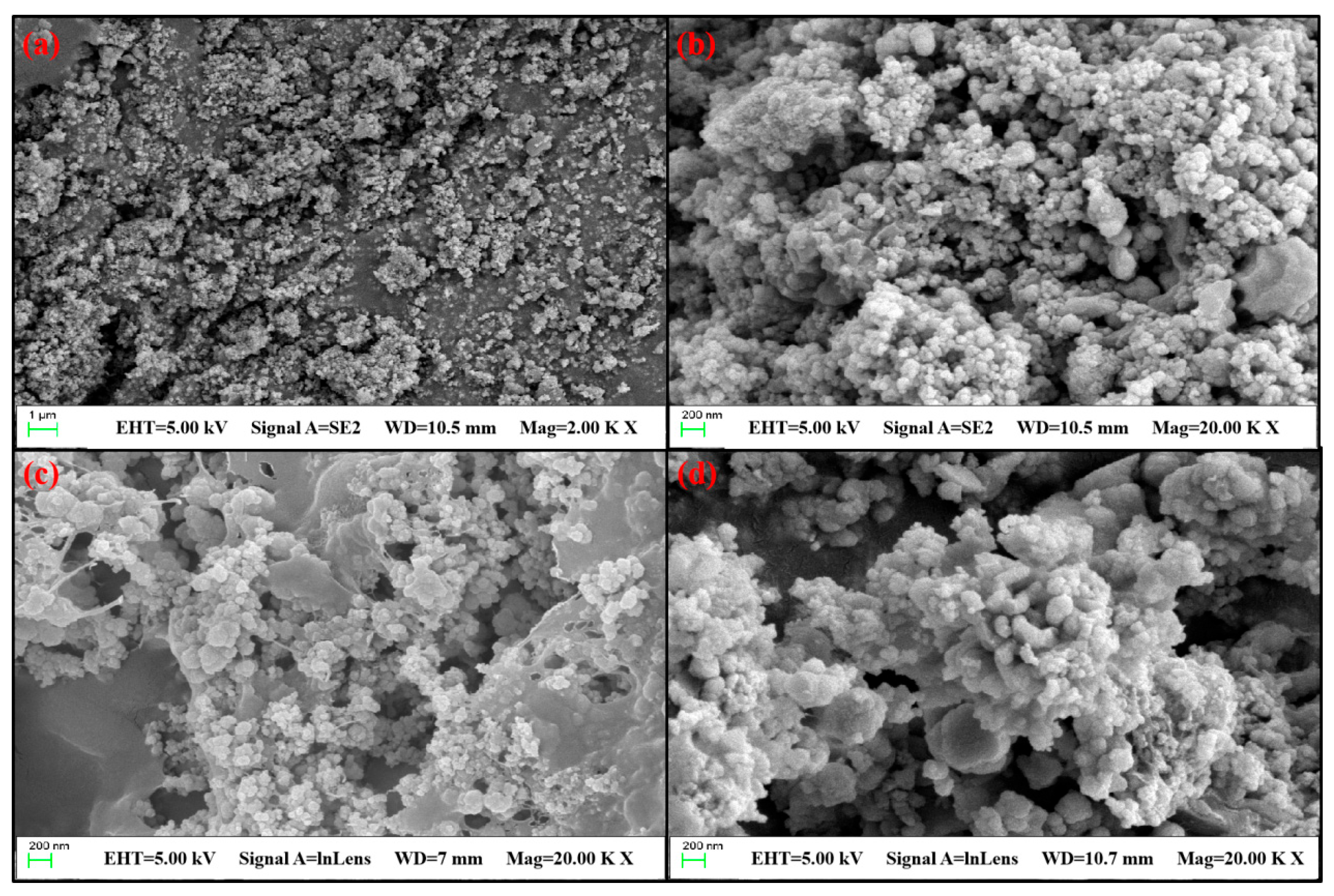 Processes 13 01603 g009