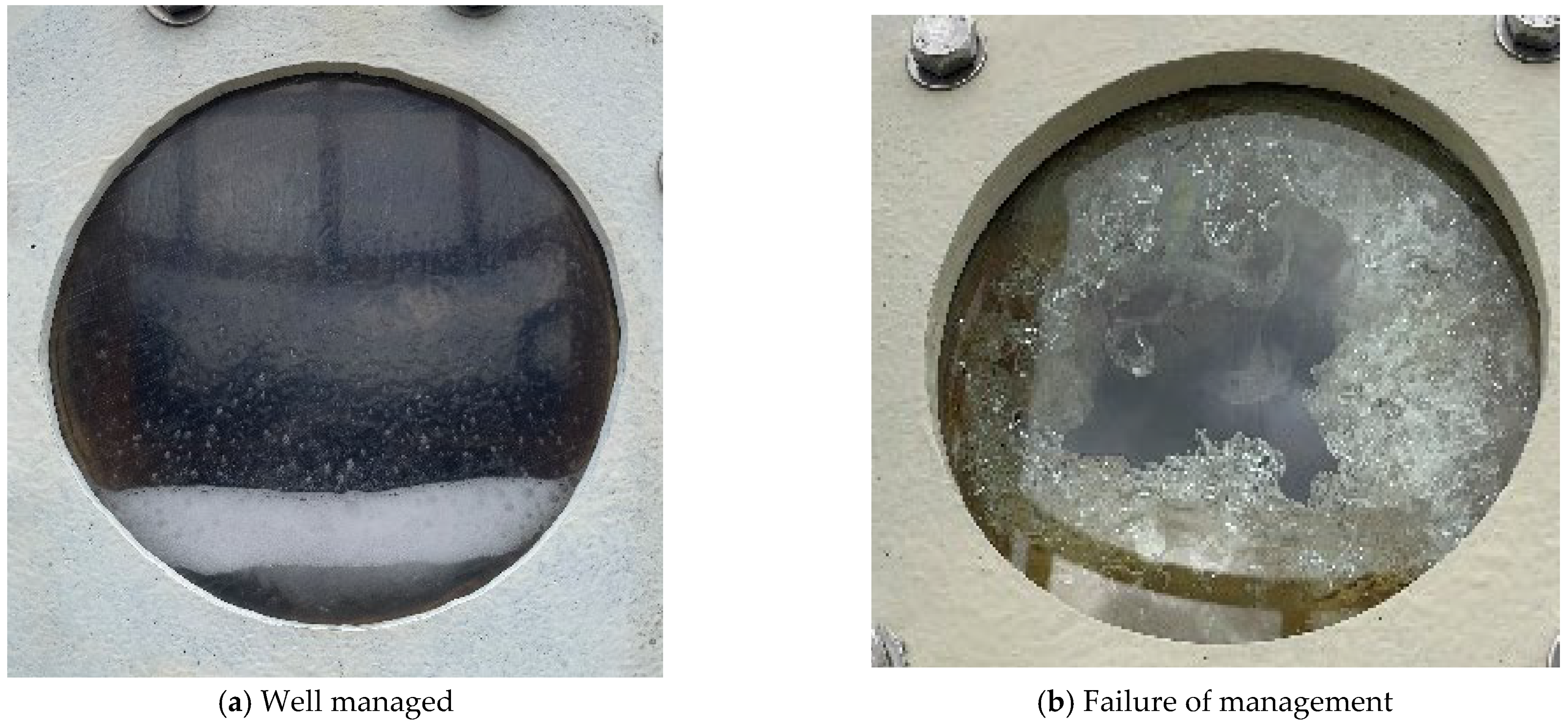 Processes 13 01607 g012