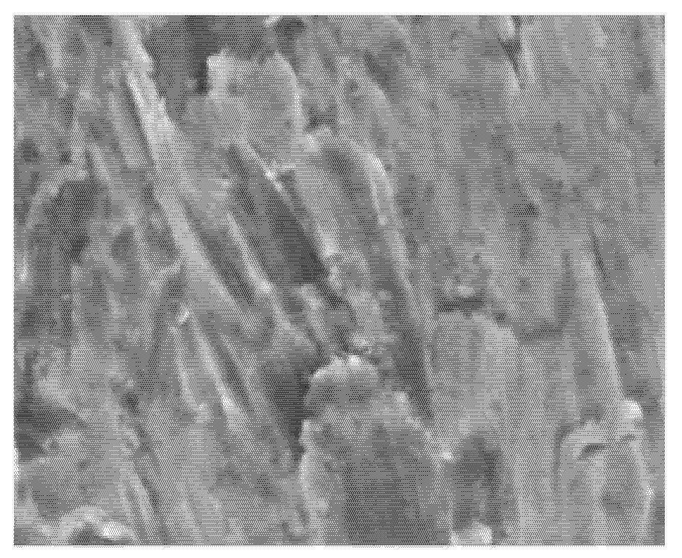 Processes 13 01617 g011