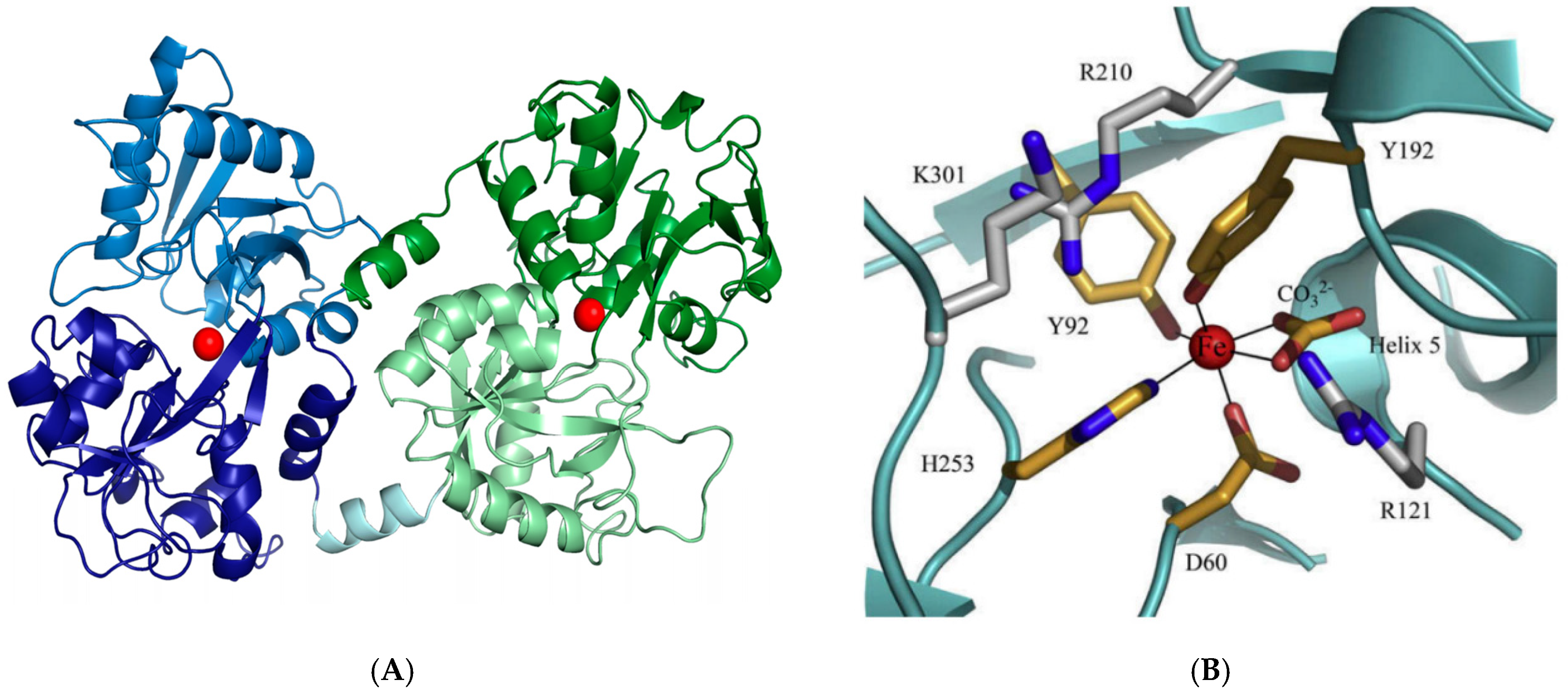 Processes 13 01620 g003