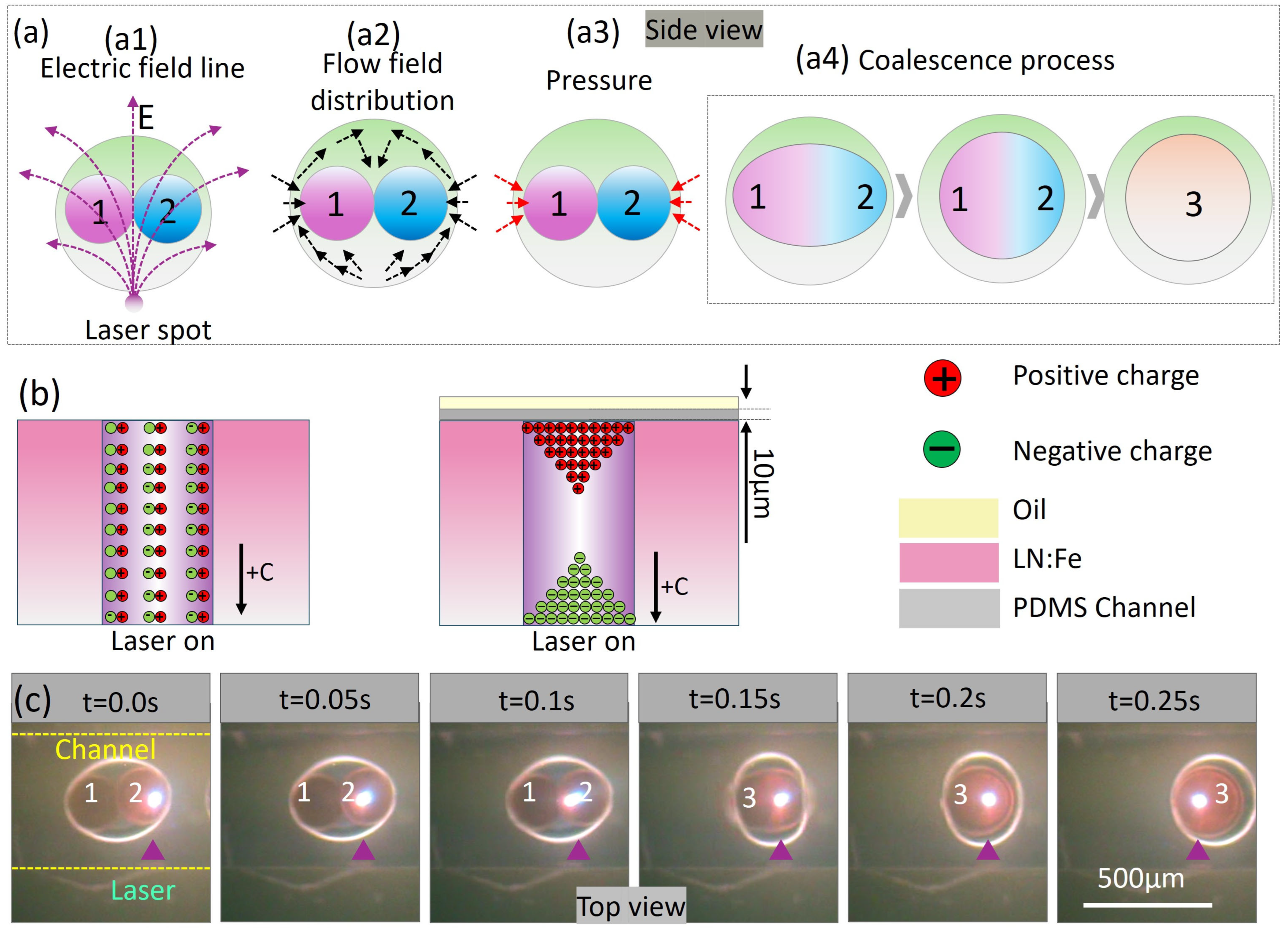 Processes 13 01640 g004