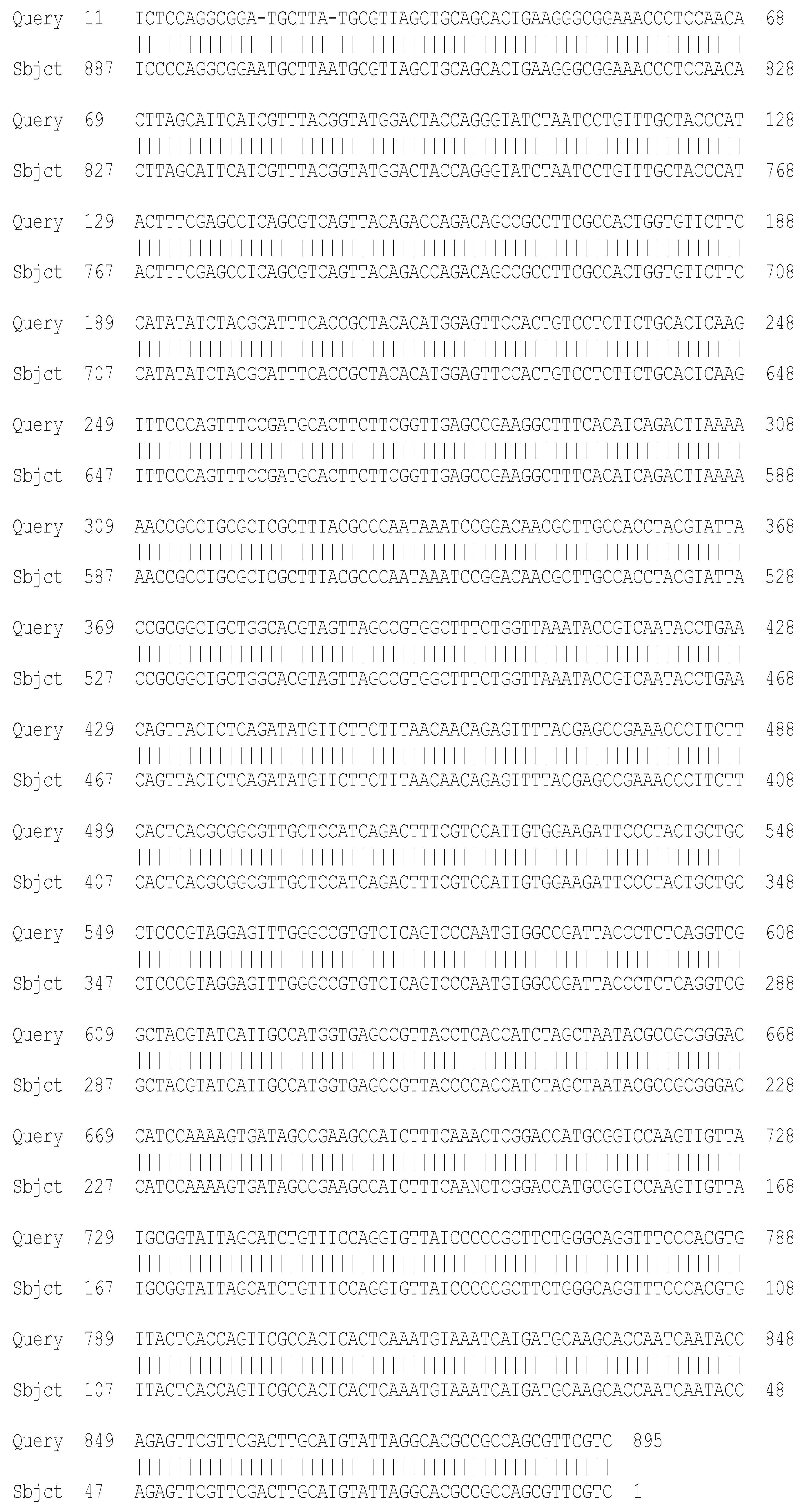 Processes 13 01644 g002 Processes 13 01644 g002