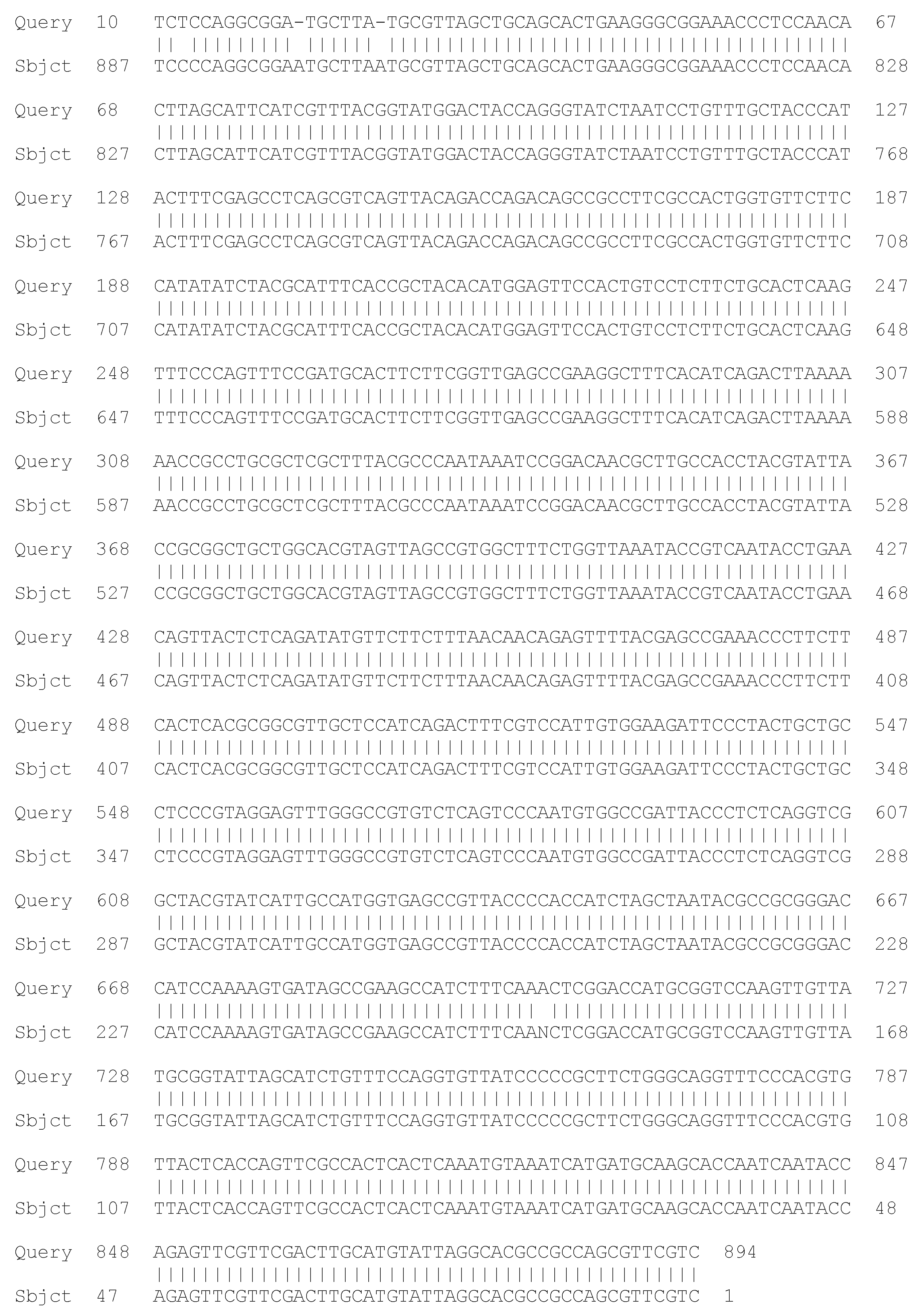 Processes 13 01644 g008 Processes 13 01644 g008