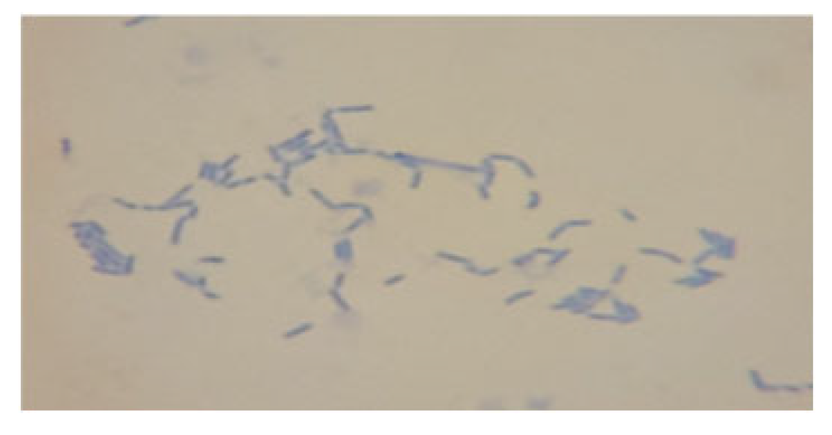 Processes 13 01644 i003 Processes 13 01644 i003