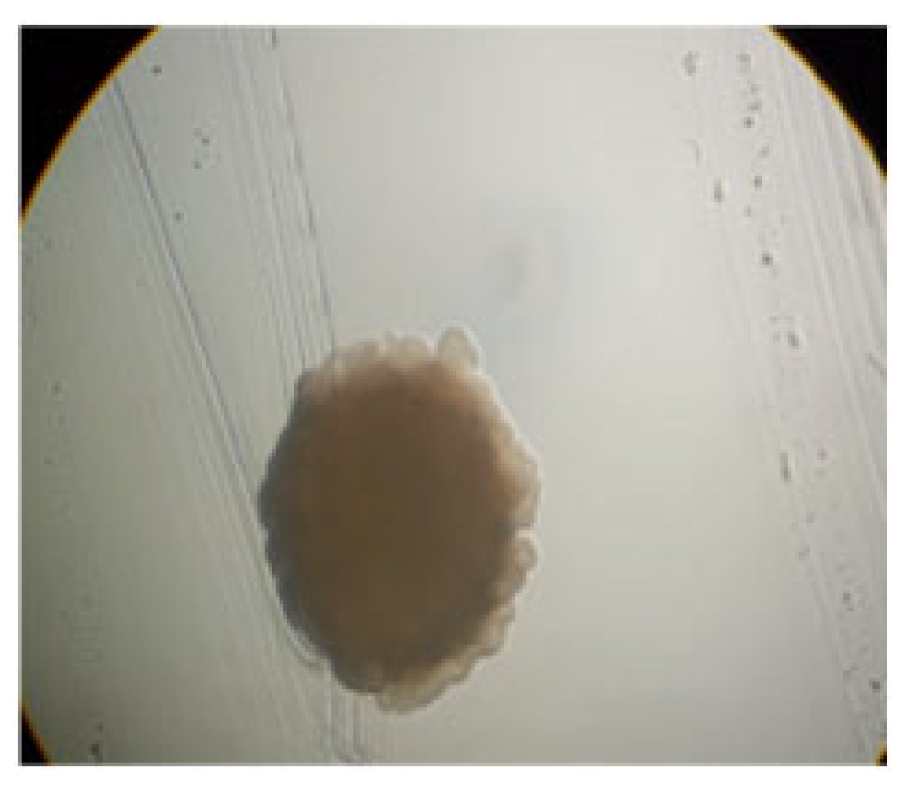 Processes 13 01644 i010 Processes 13 01644 i010