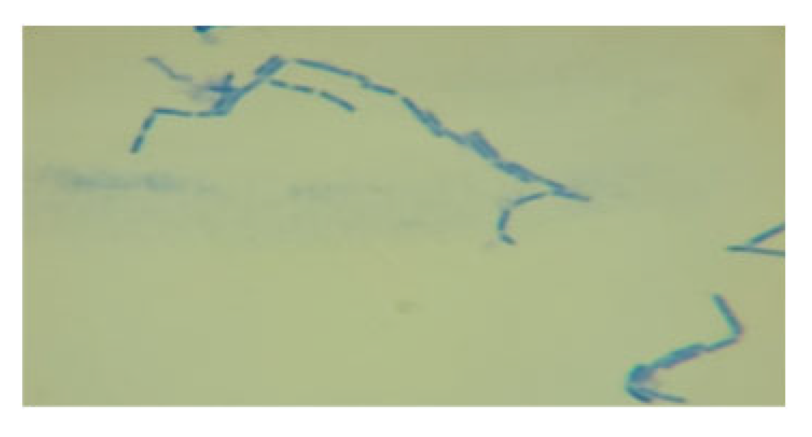 Processes 13 01644 i011 Processes 13 01644 i011