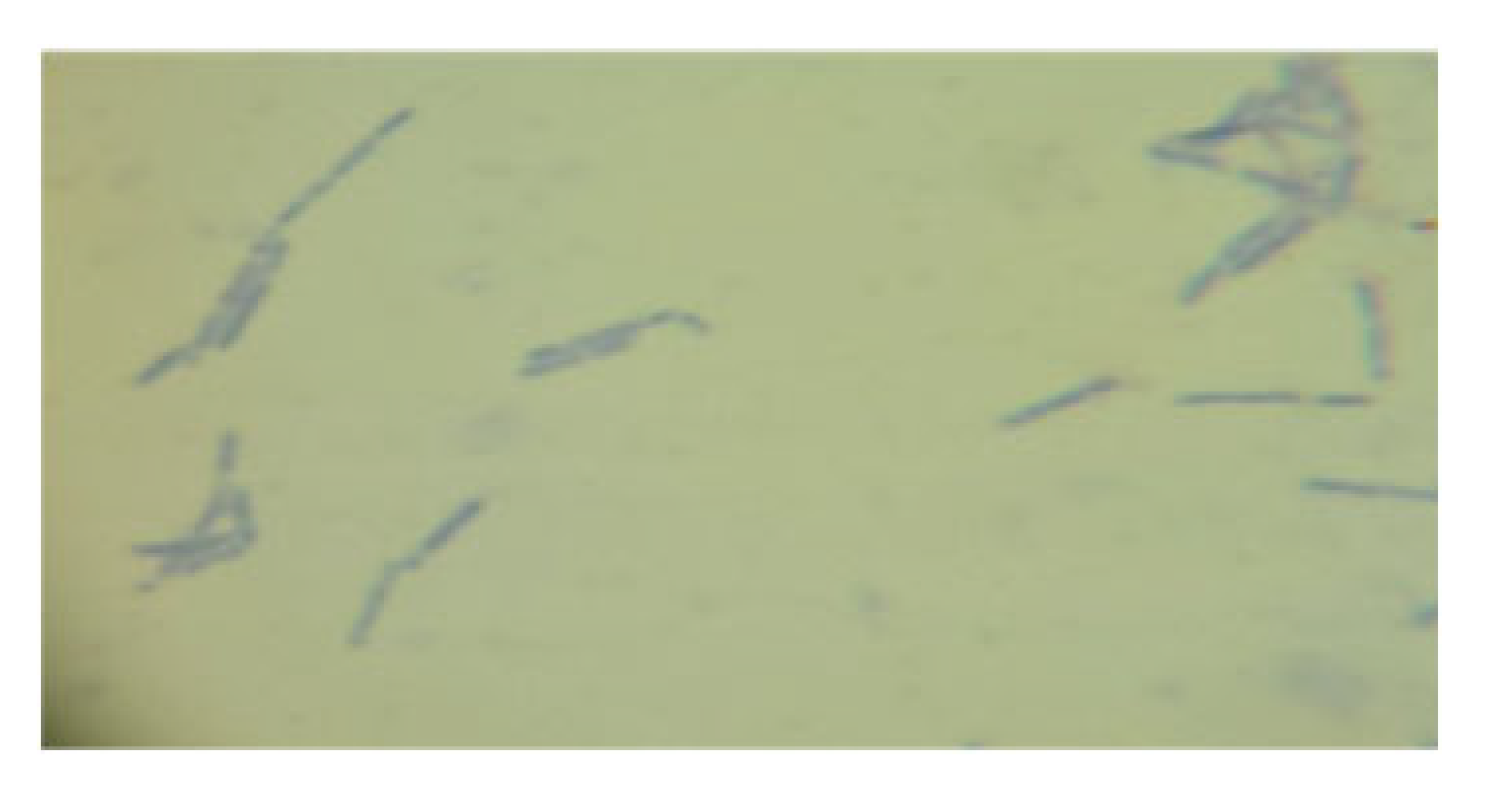 Processes 13 01644 i013 Processes 13 01644 i013