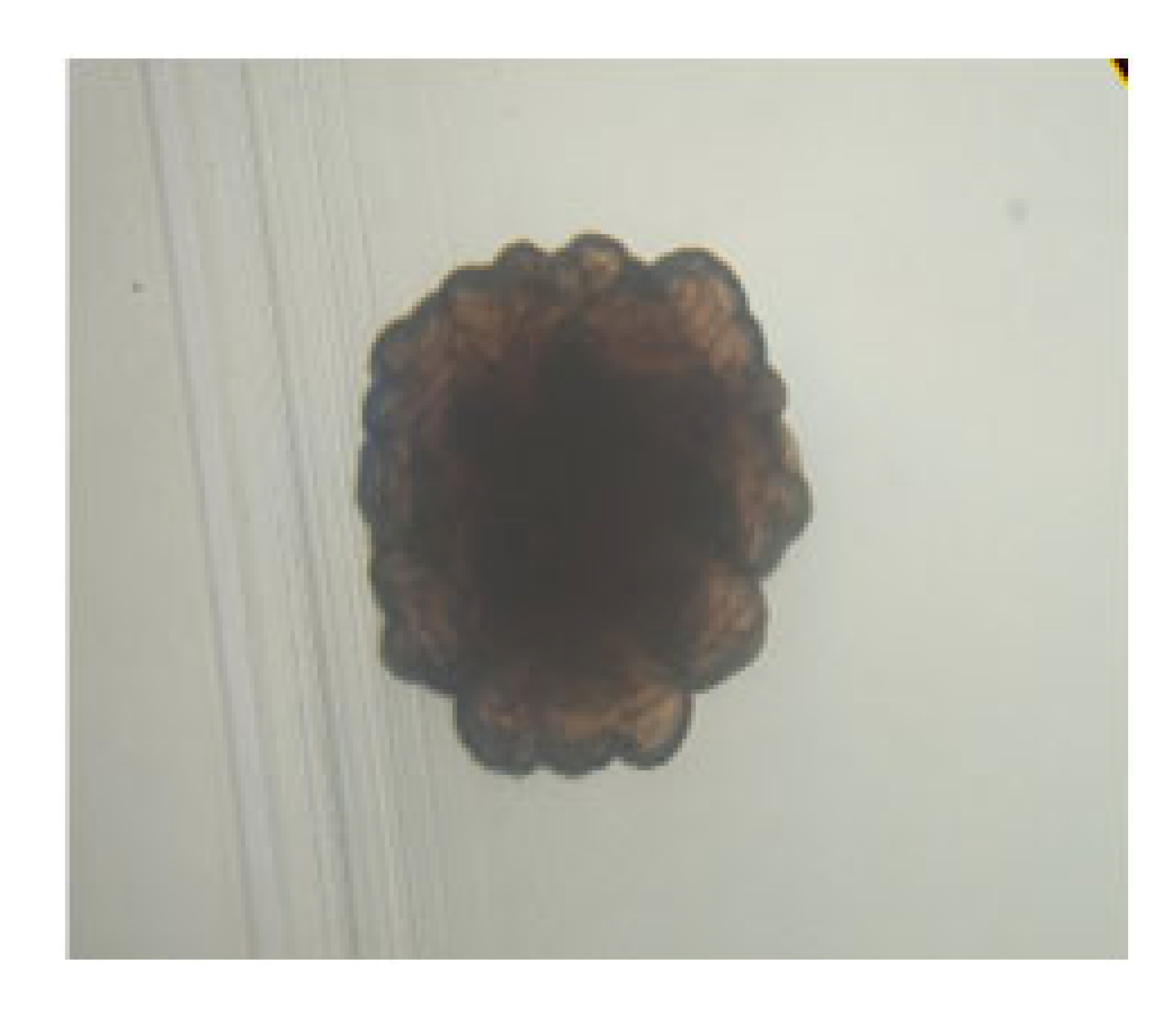 Processes 13 01644 i014 Processes 13 01644 i014