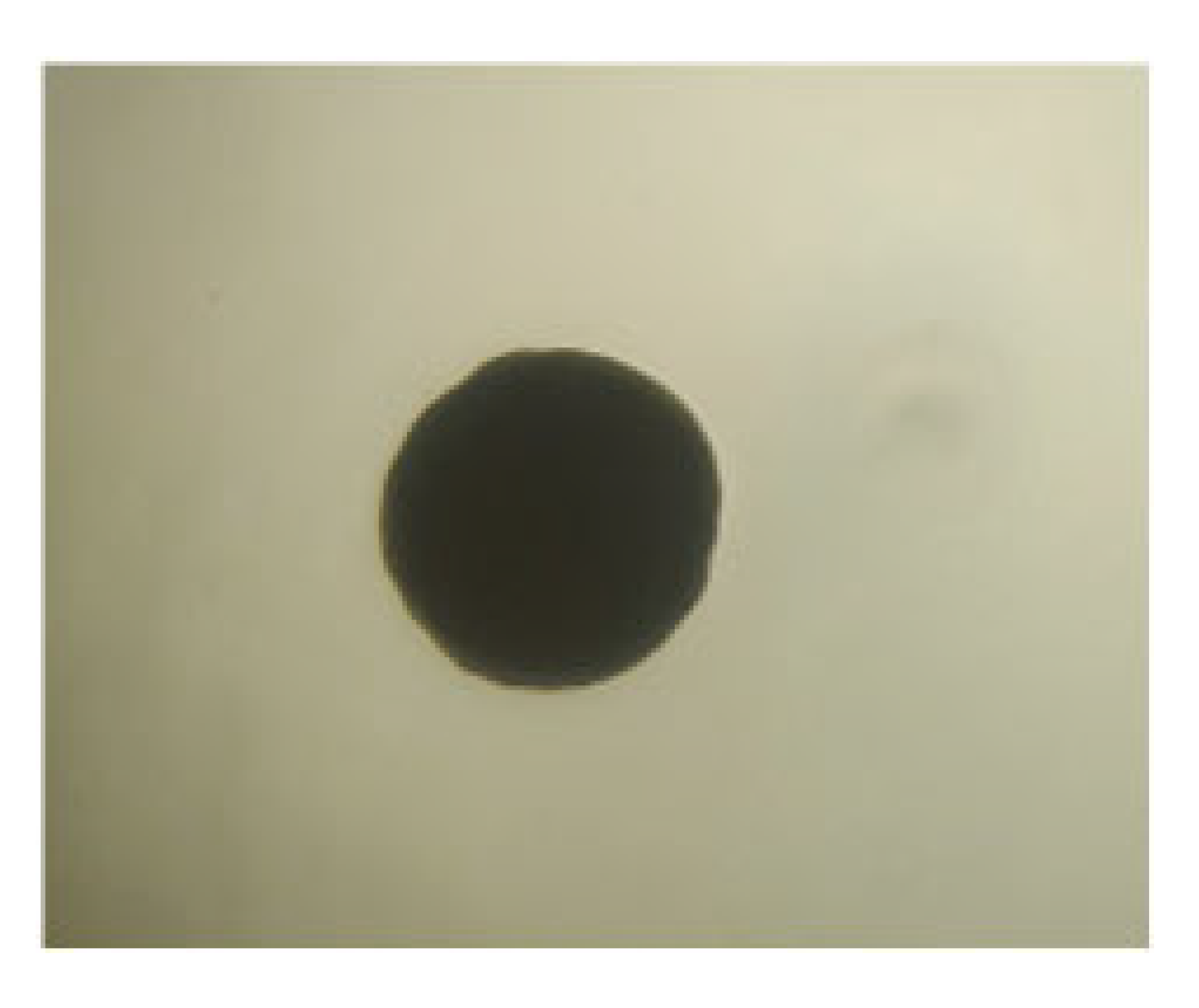 Processes 13 01644 i016 Processes 13 01644 i016