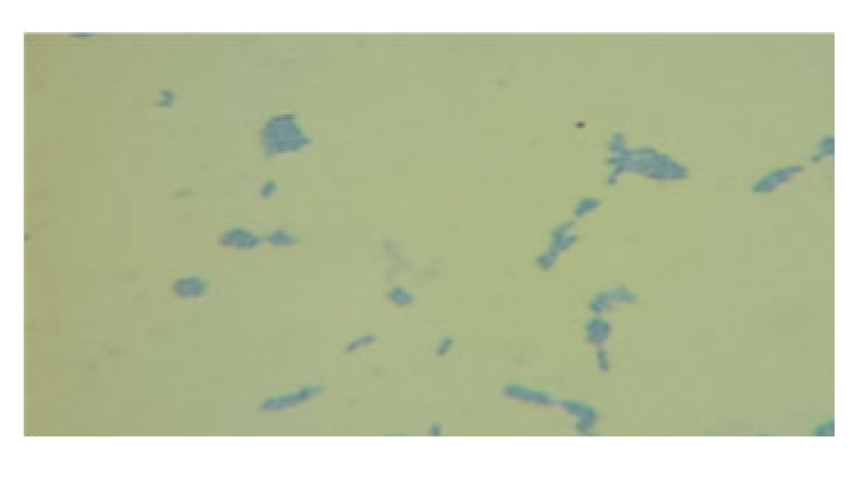 Processes 13 01644 i017 Processes 13 01644 i017