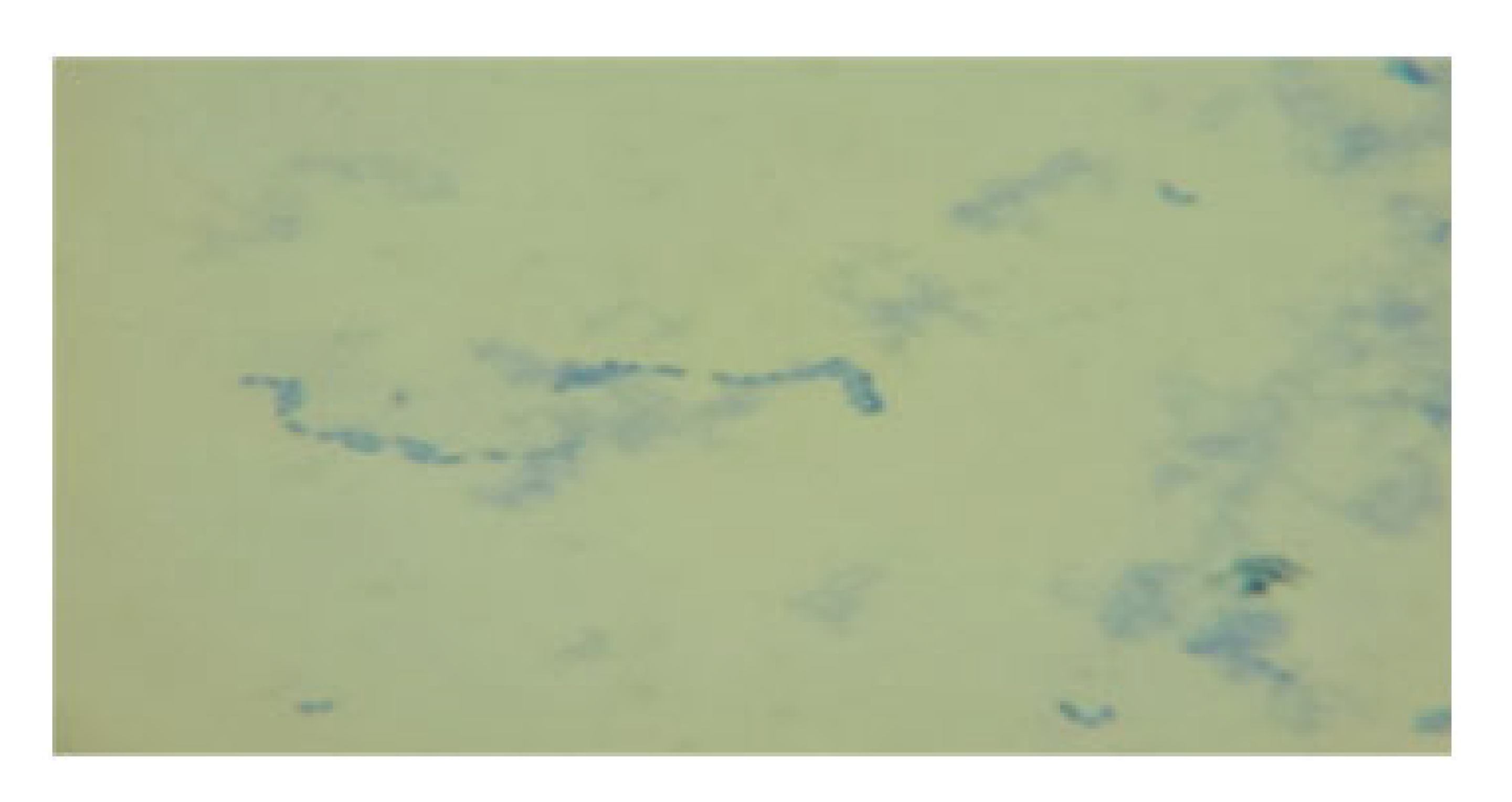 Processes 13 01644 i019 Processes 13 01644 i019