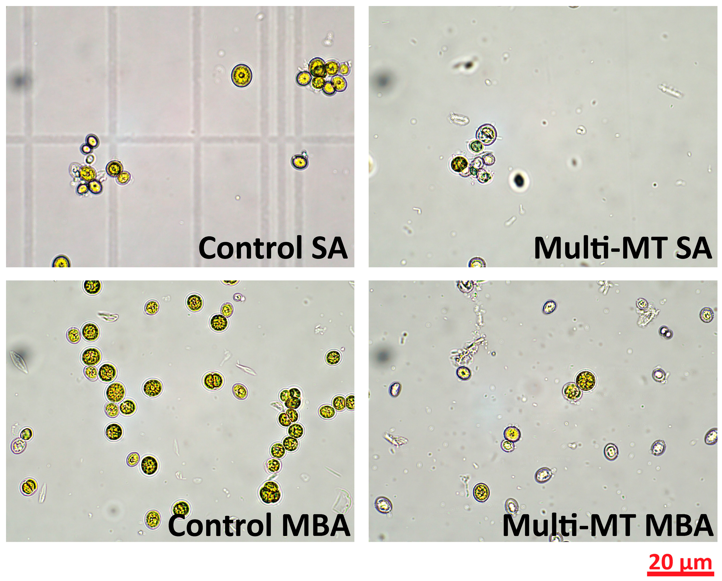 Processes 13 01709 g002