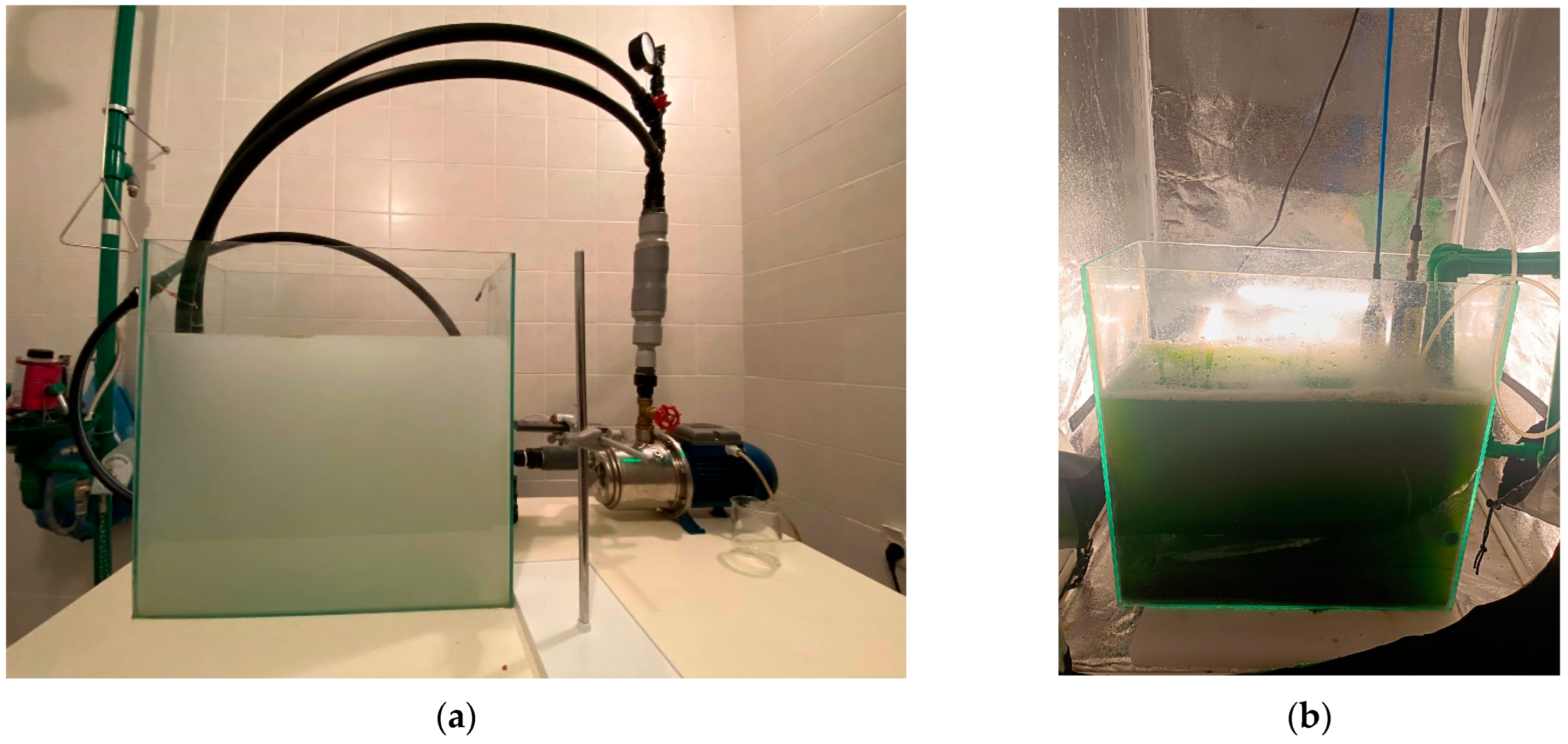 Processes 13 01709 g0a1