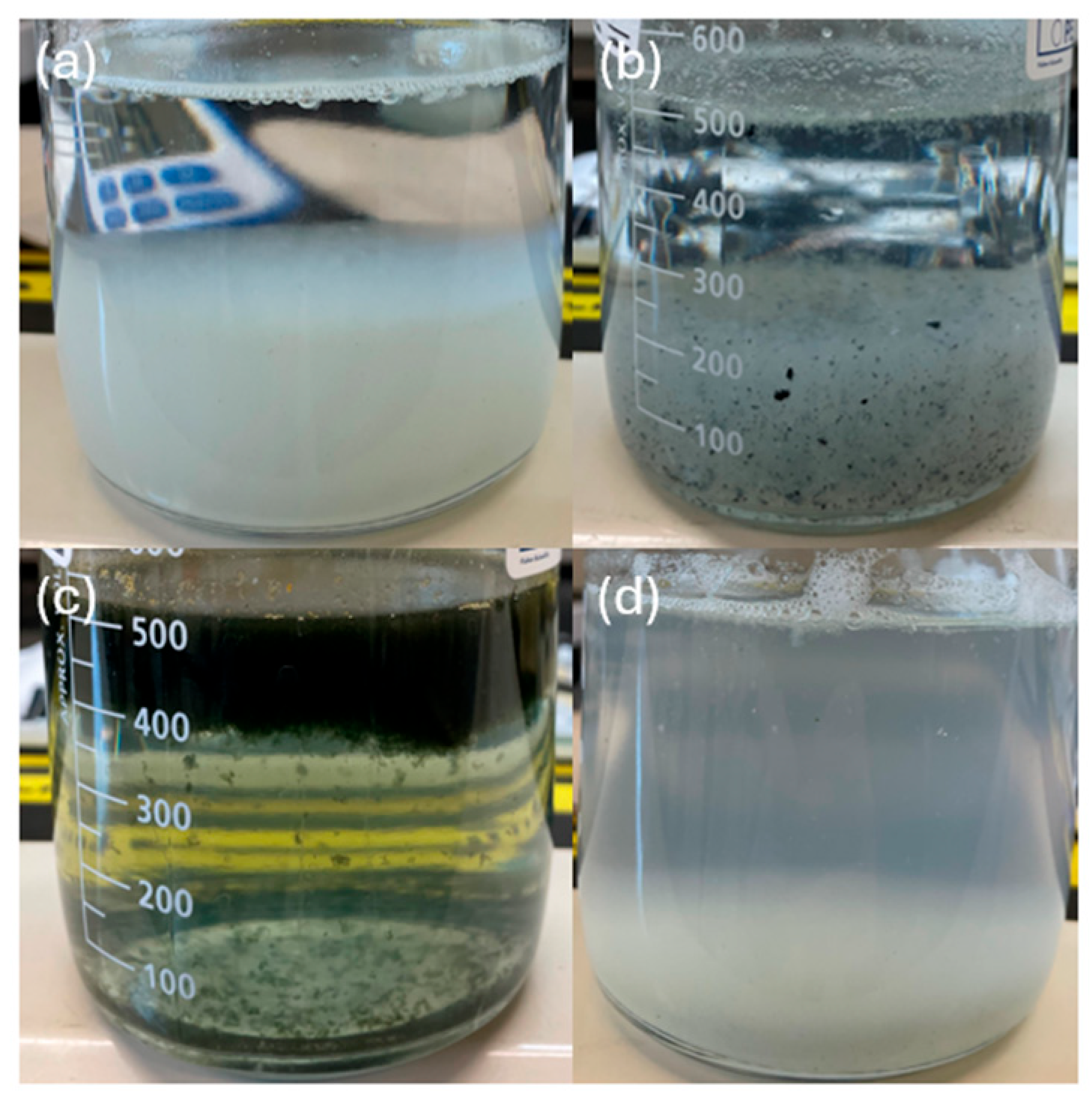 Processes 13 01741 g003