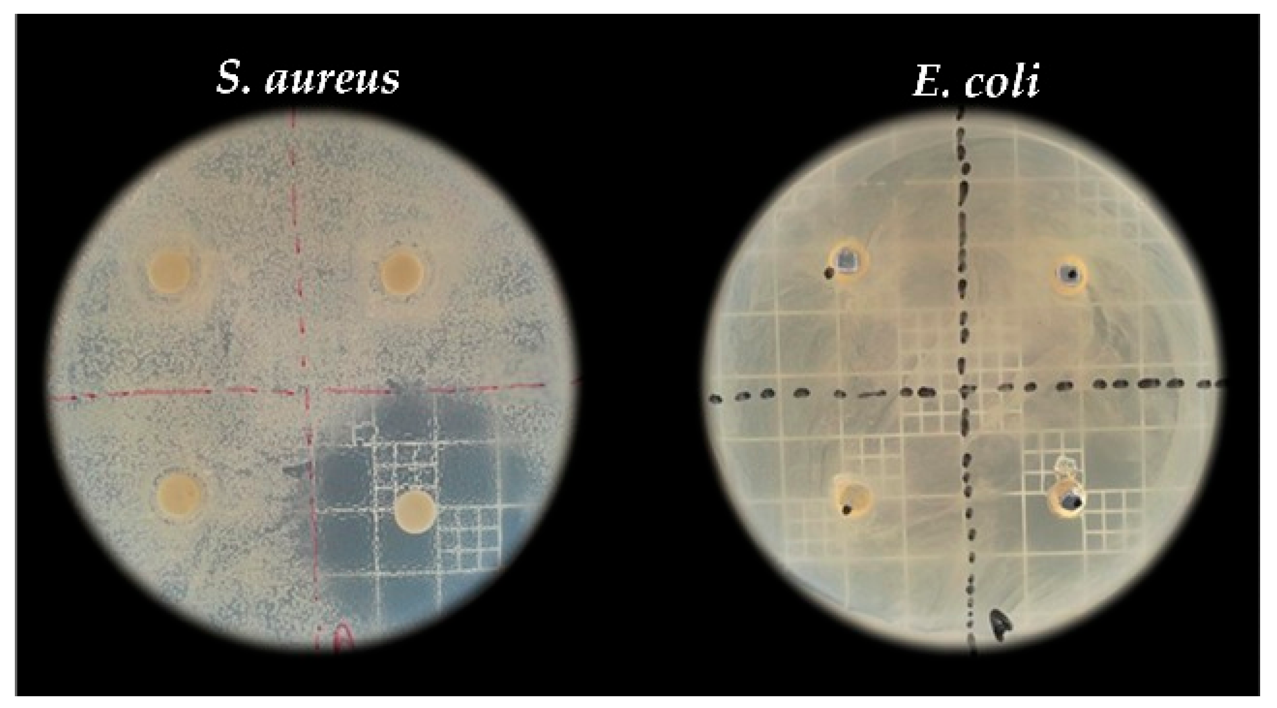 Processes 13 01815 g003