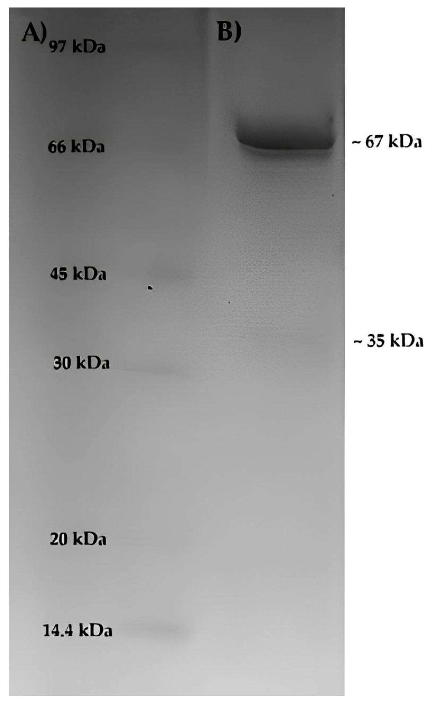Processes 13 01815 g009