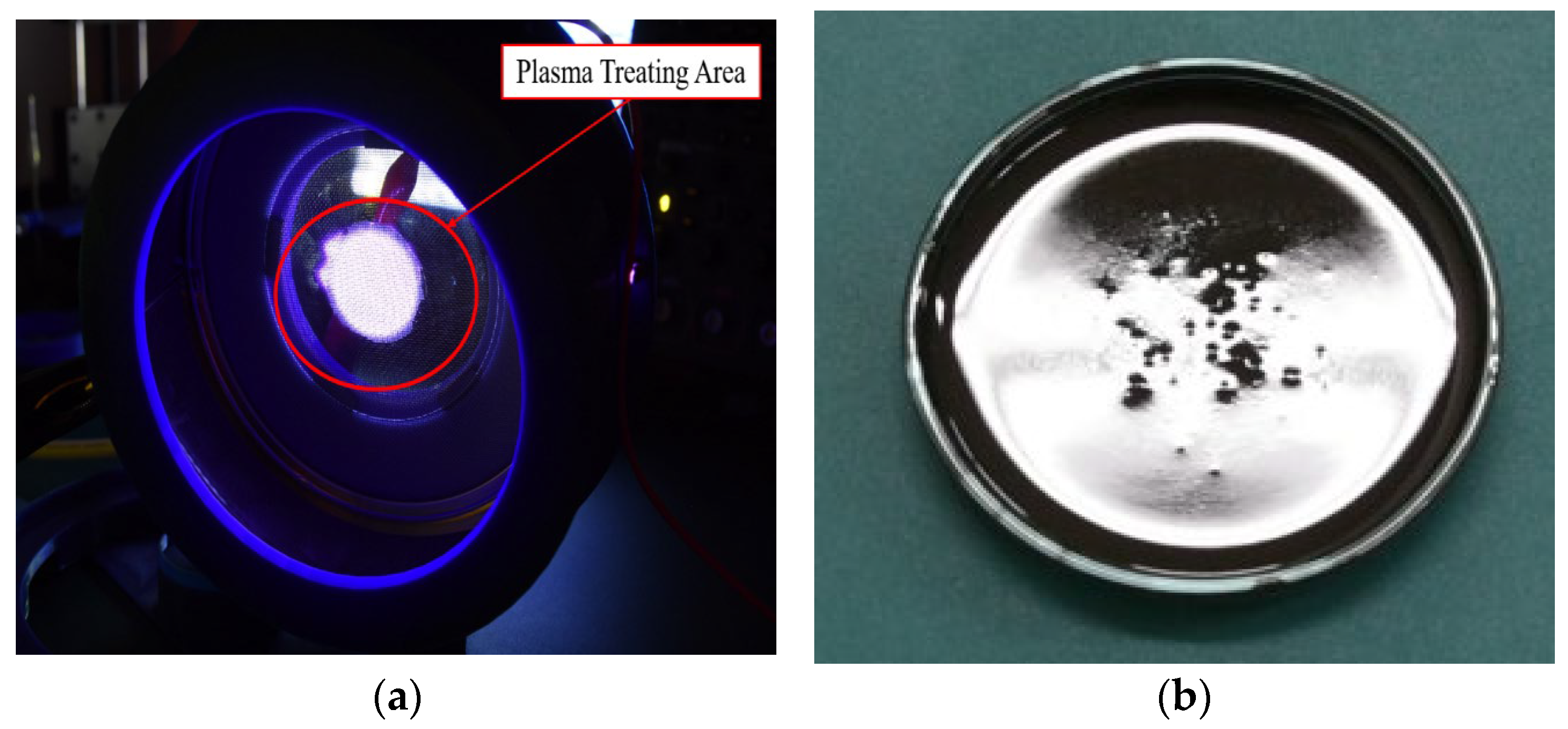 Processes 13 01822 g006