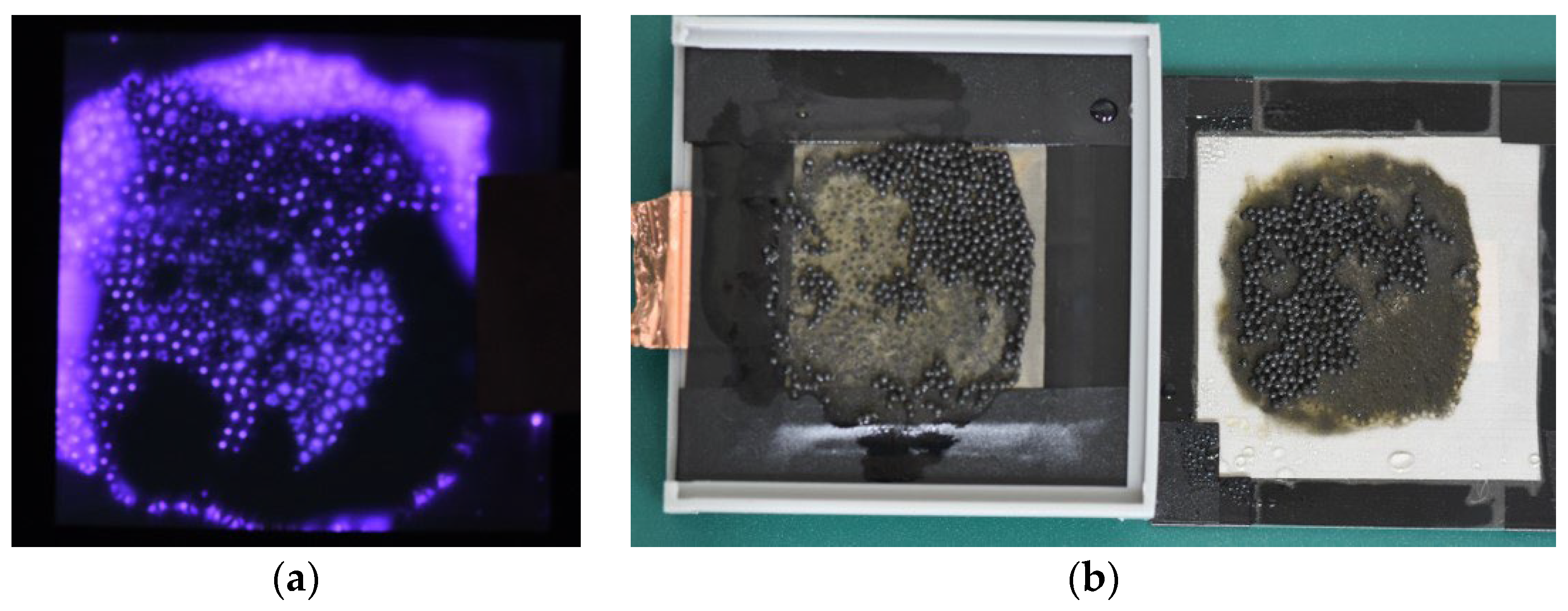 Processes 13 01822 g007