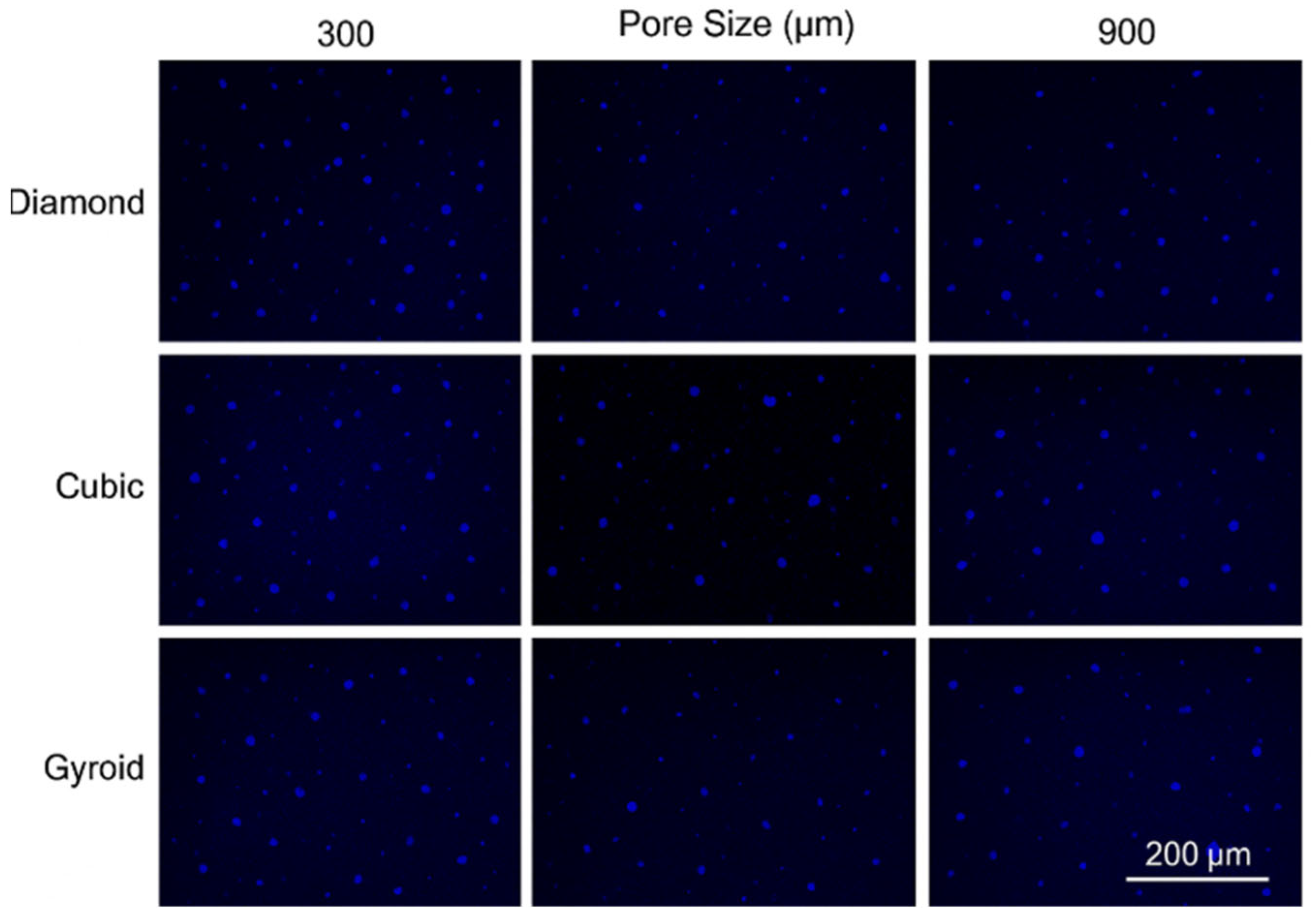 Processes 13 01827 g007