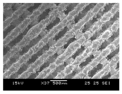 Processes 13 01827 i004