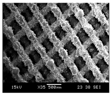 Processes 13 01827 i005