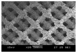 Processes 13 01827 i006