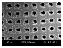Processes 13 01827 i010